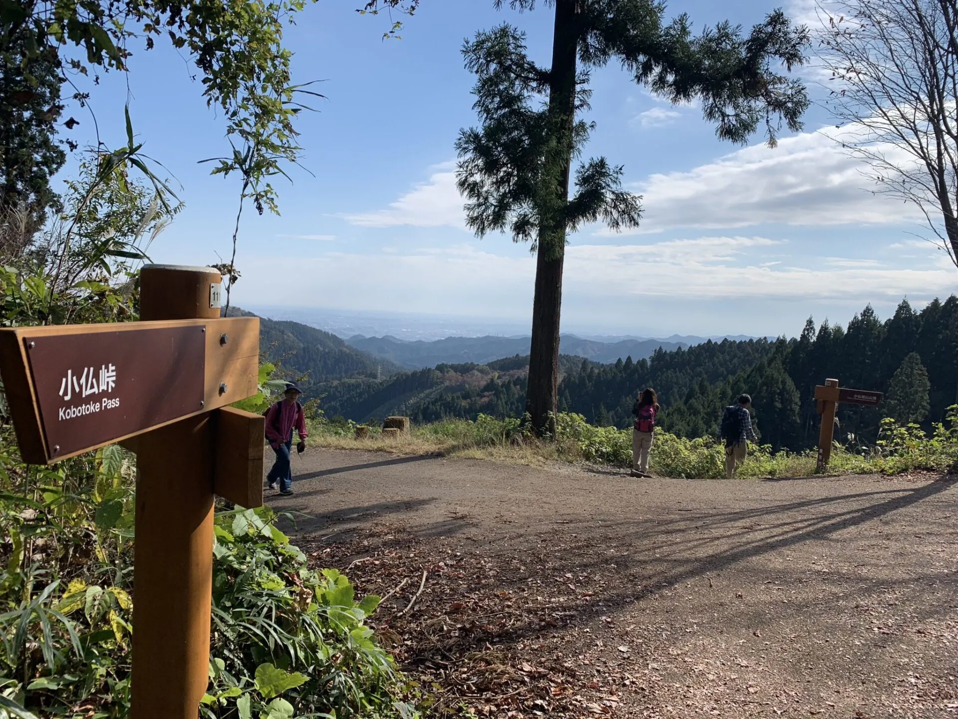 高尾陣馬トレラン トレーニング 28km - 画像23