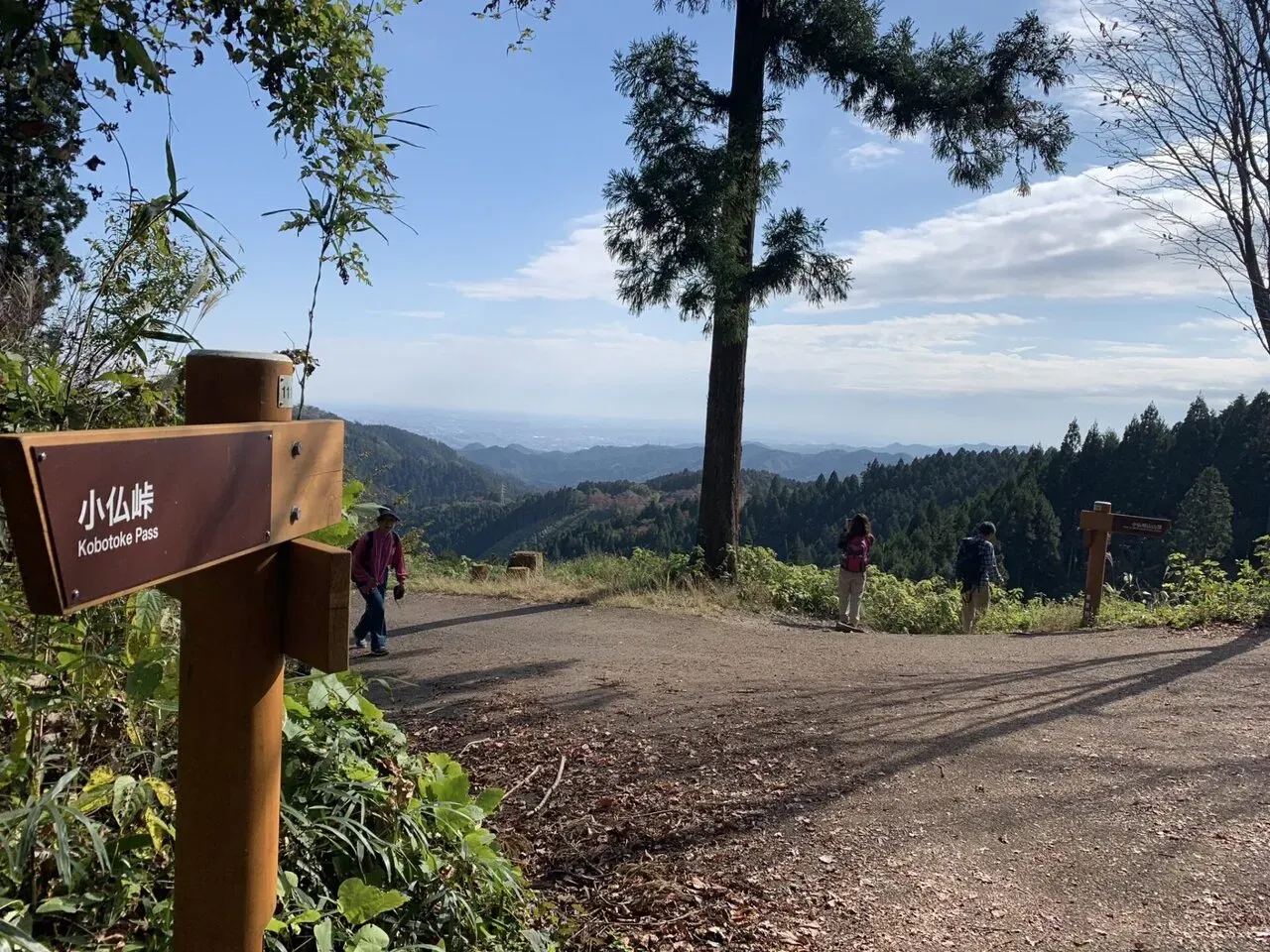 高尾陣馬トレラン トレーニング 28km - 画像23