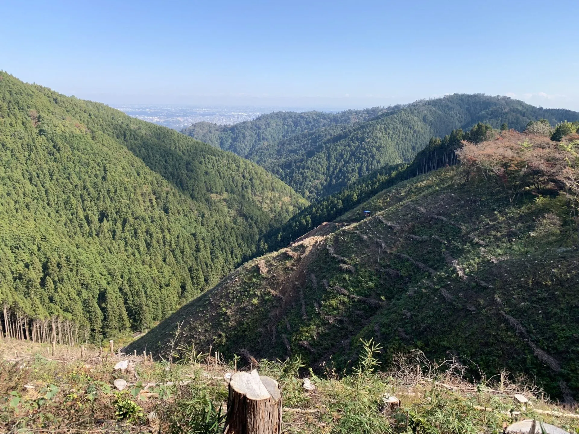 高尾陣馬トレラン トレーニング 28km - 画像25