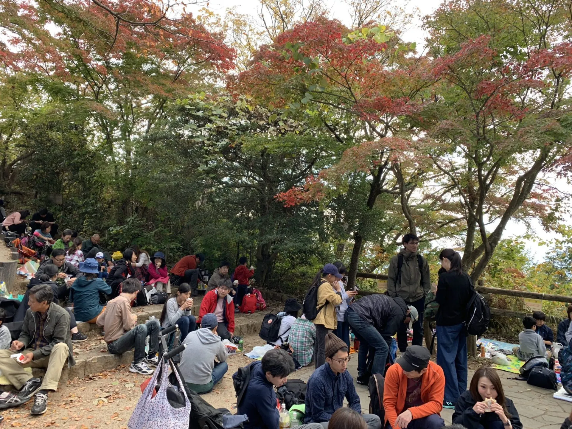 高尾陣馬トレラン トレーニング 28km - 画像26