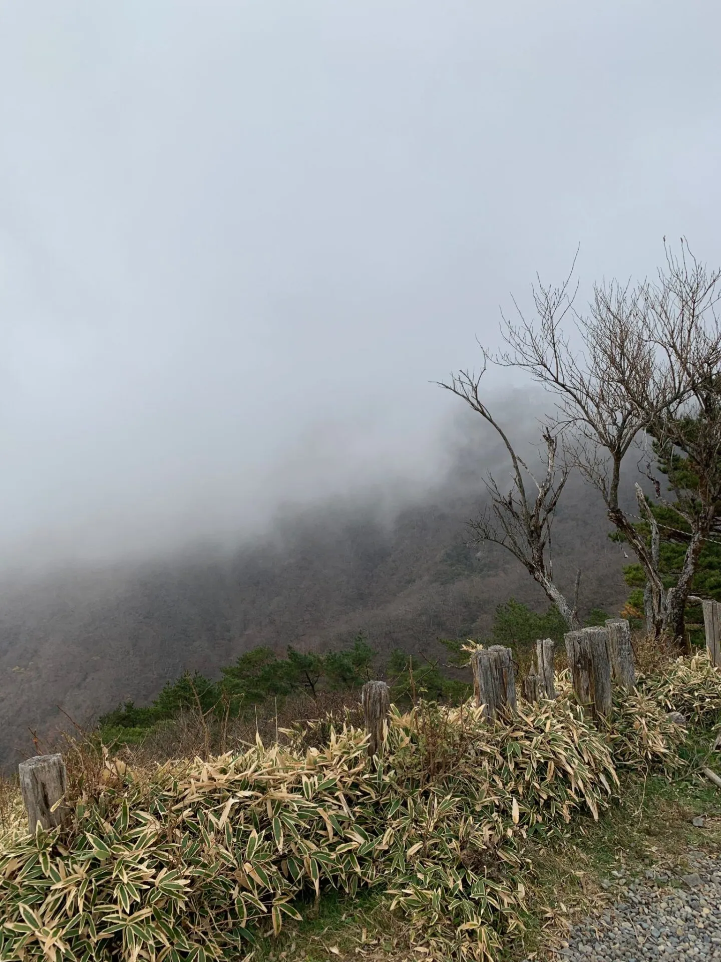 ヤビツ峠ライド＋塔の岳登山（2300m up) - 画像6