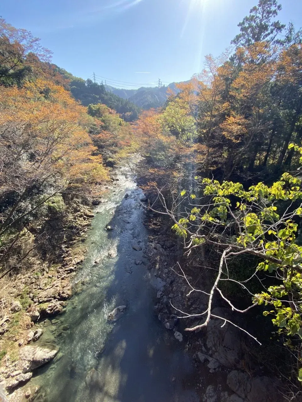 紅葉が綺麗。無駄に広角で撮影