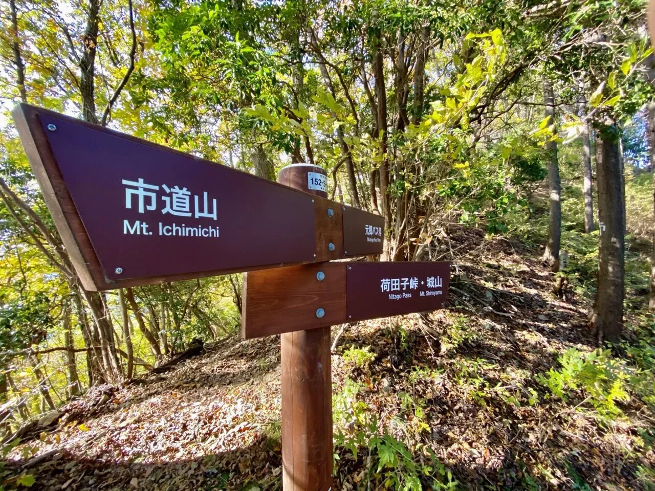 広角楽しい。途中であった登山者と軽く話して、「高尾山までは間に合わないから和田峠あたりでエスケープしたほうが良い」というアドバイス。確かに安全を考えればそうですが間に合うはず。