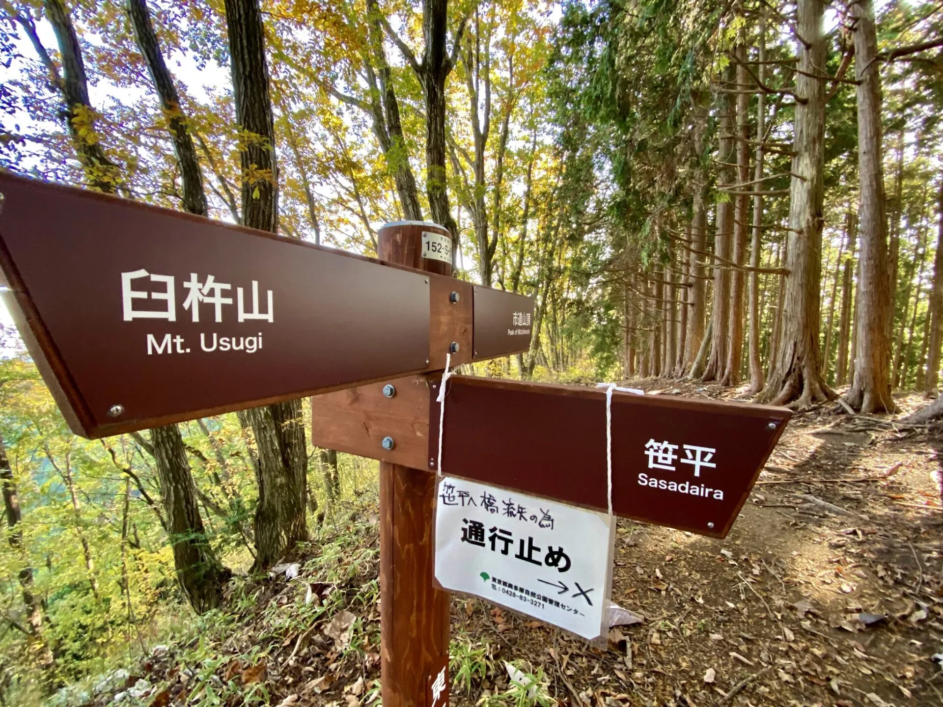 陣馬・高尾山トレランでAPRS運用 - 画像16