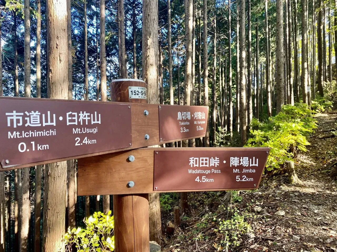 山の5kmって長いんだよなー