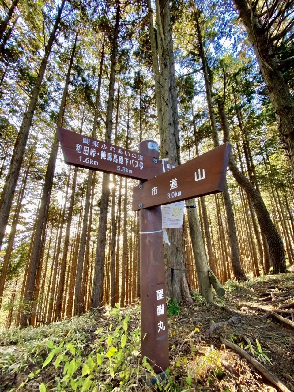 和田峠までもうすぐ。