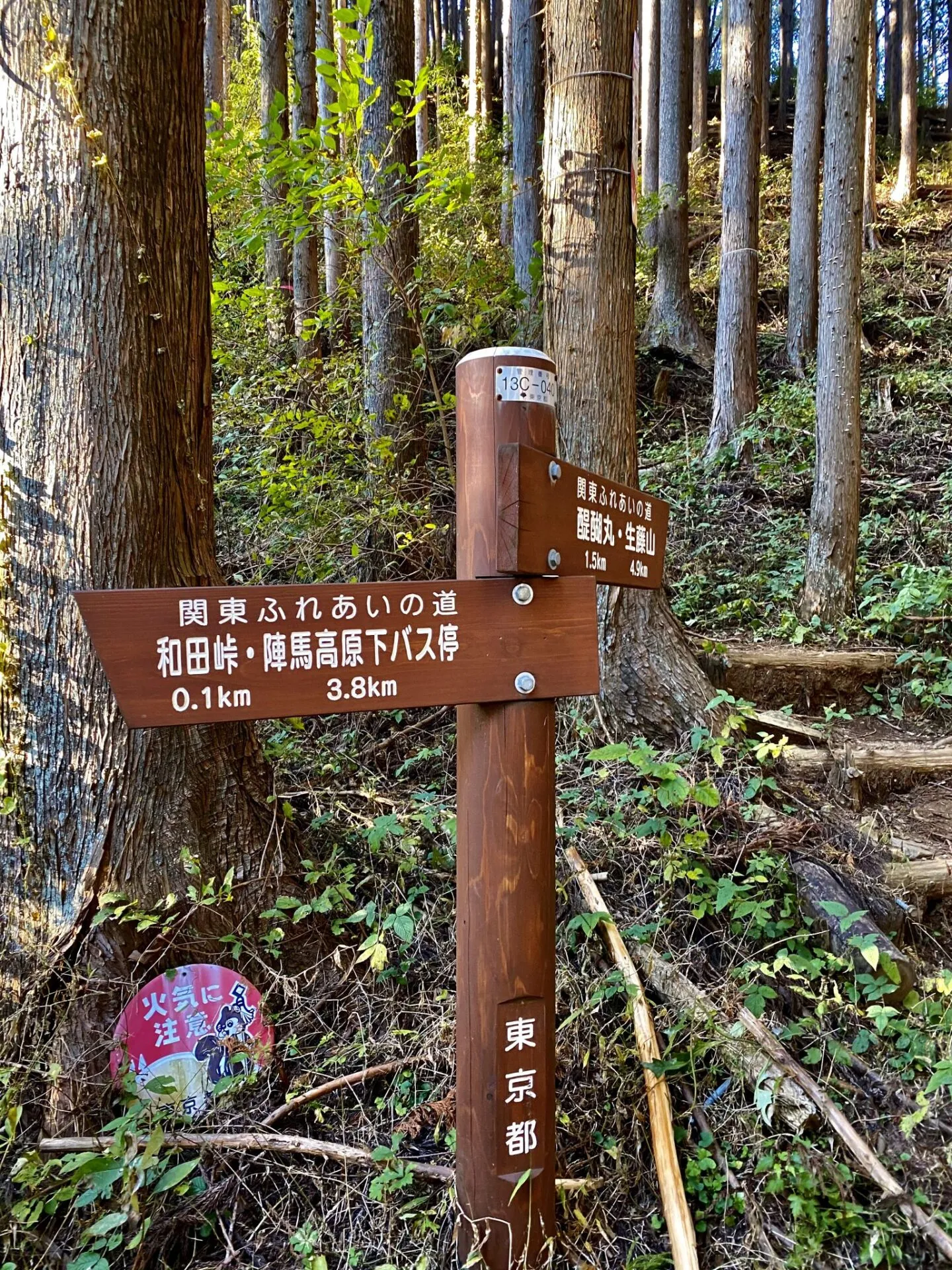 陣馬・高尾山トレランでAPRS運用 - 画像20