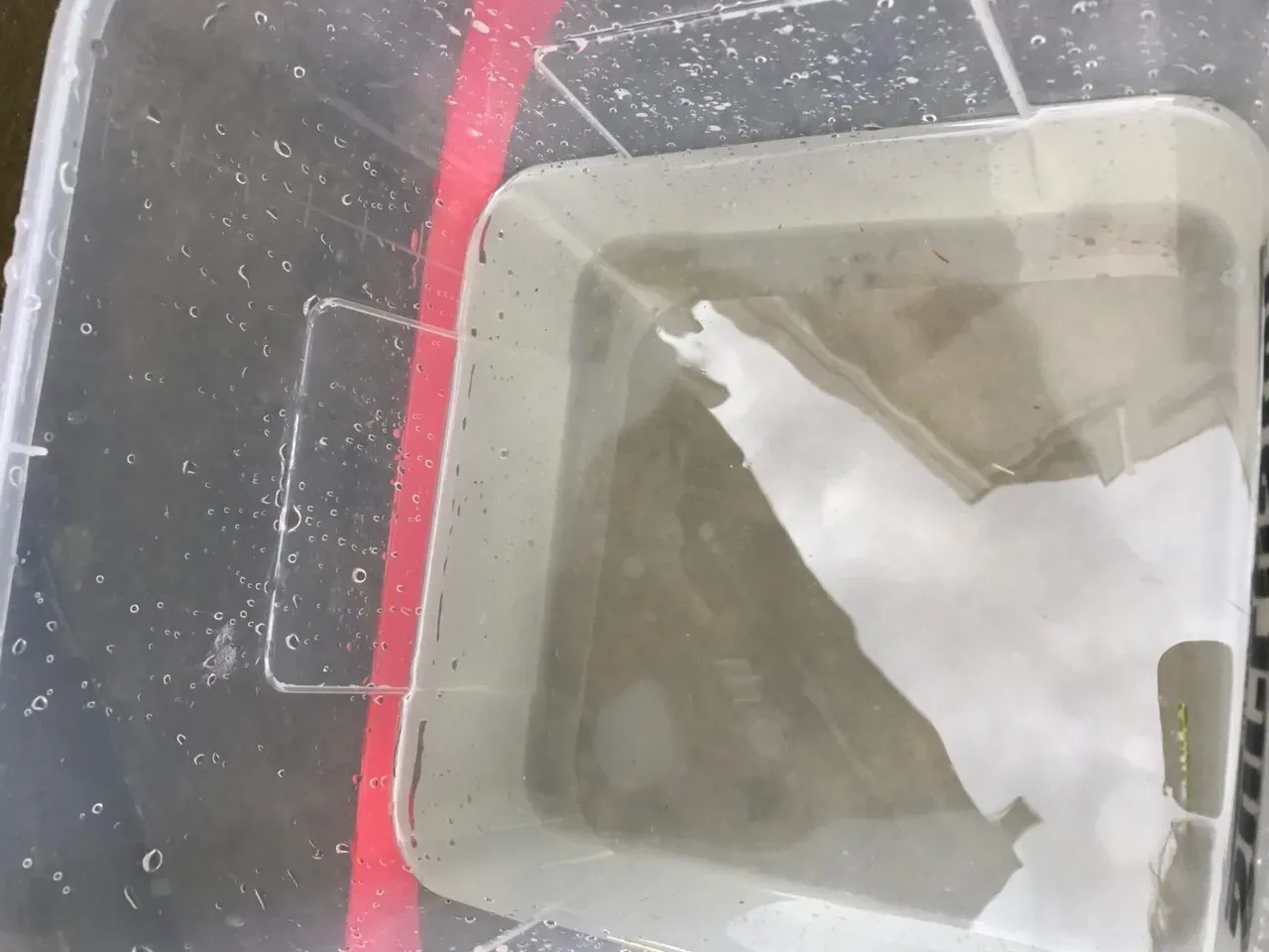 彩の国トライアスロンインA 総合5位！やったー - 画像3