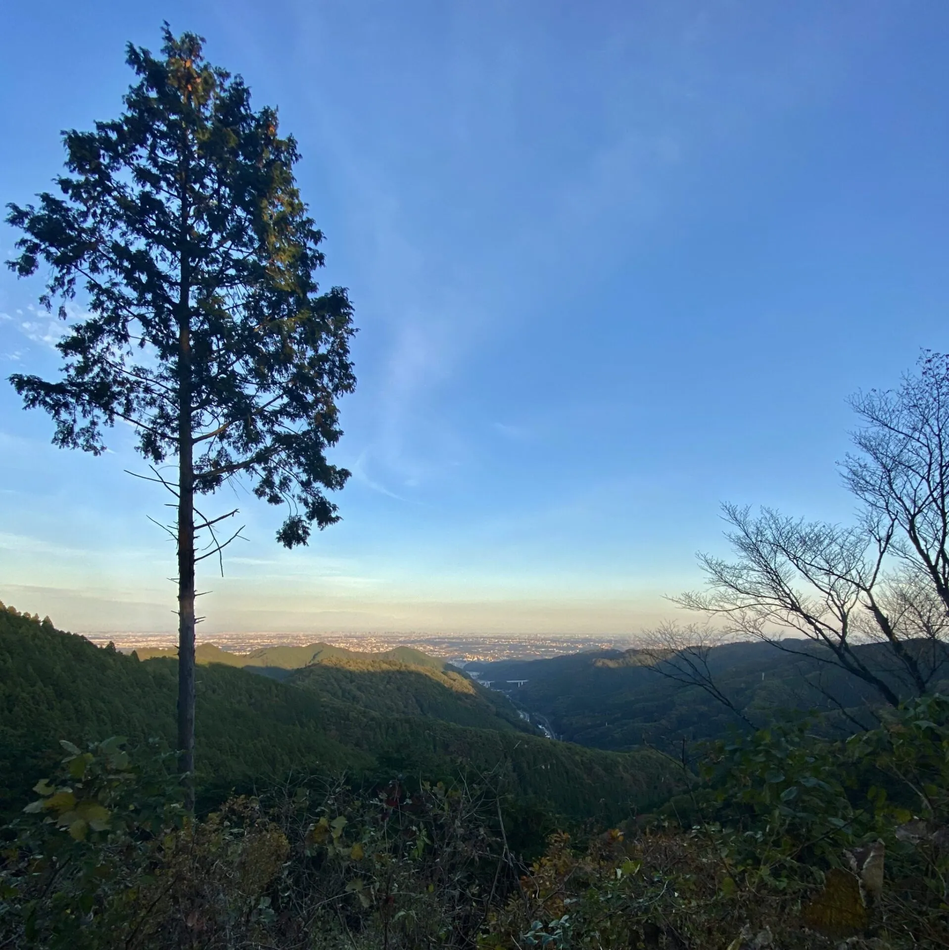 陣馬・高尾山トレランでAPRS運用 - 画像33