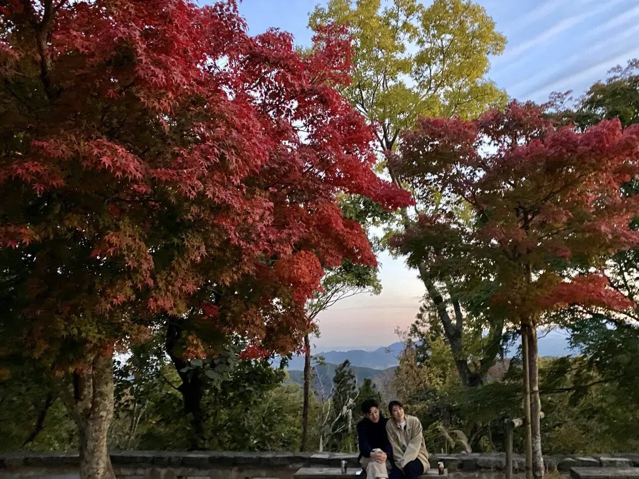 紅葉する木は少しだけ。