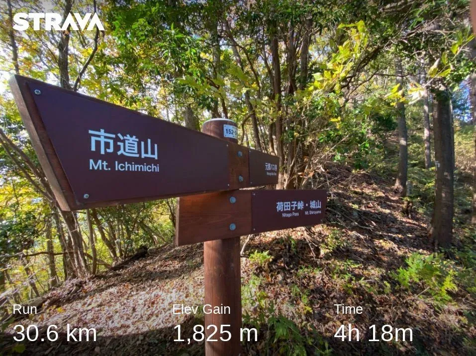 Cover Image of the Post