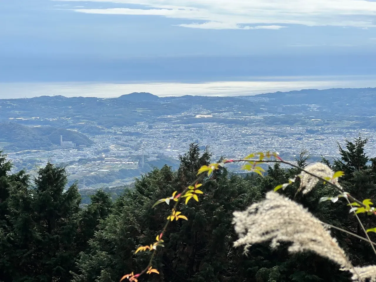ヤビツ峠頂上付近からの秦野市街と相模湾の眺望