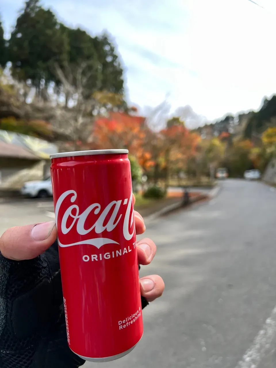 ヤビツ峠でのご褒美コーラ、背景に紅葉