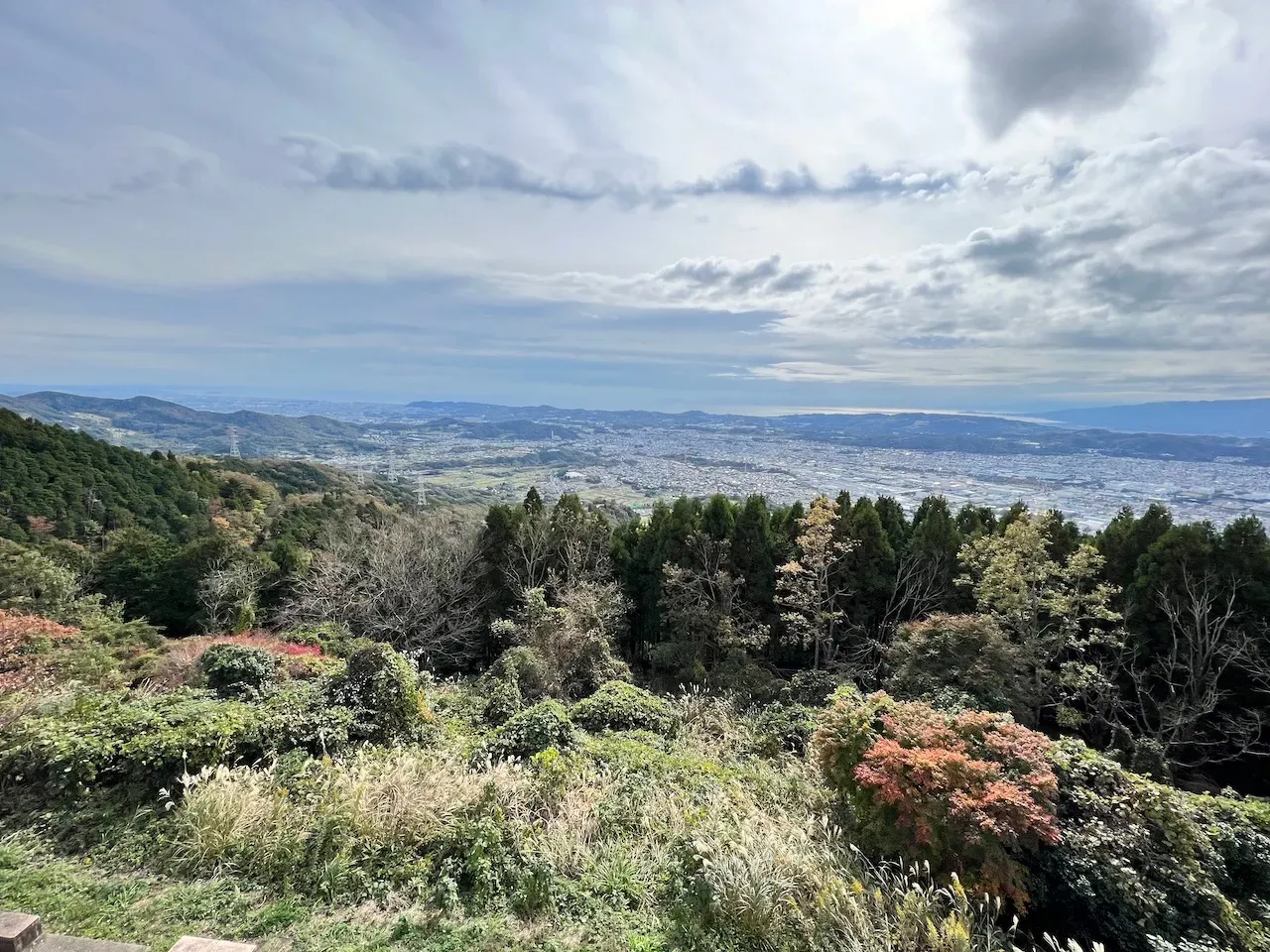 ヤビツ峠からの紅葉と秦野市街のパノラマビュー