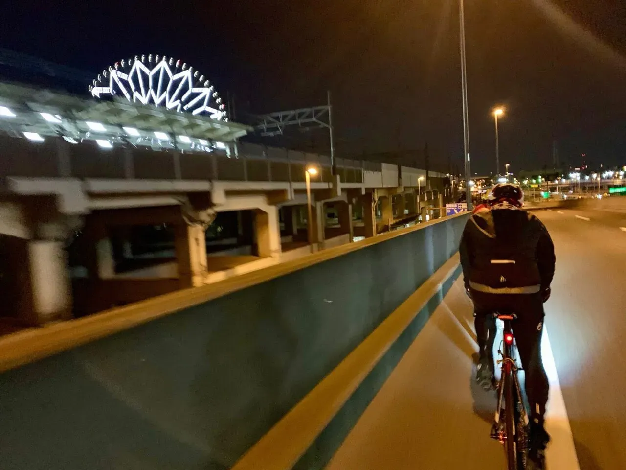 葛西臨海水族園あたり。もうすぐゴール。