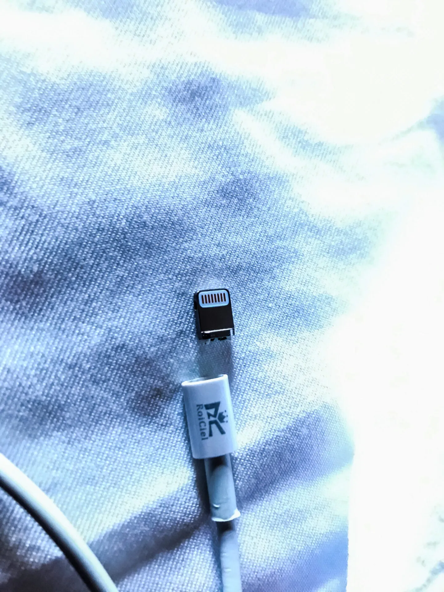 IRONMAN Canada （アイアンマン カナダ）滞在編 - 画像103