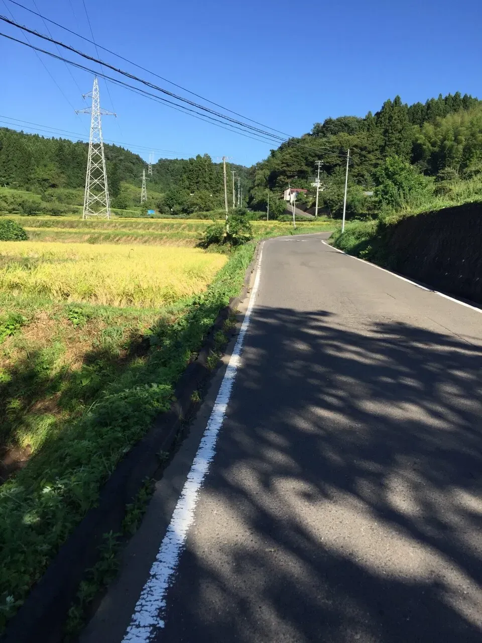 大河原から蔵王