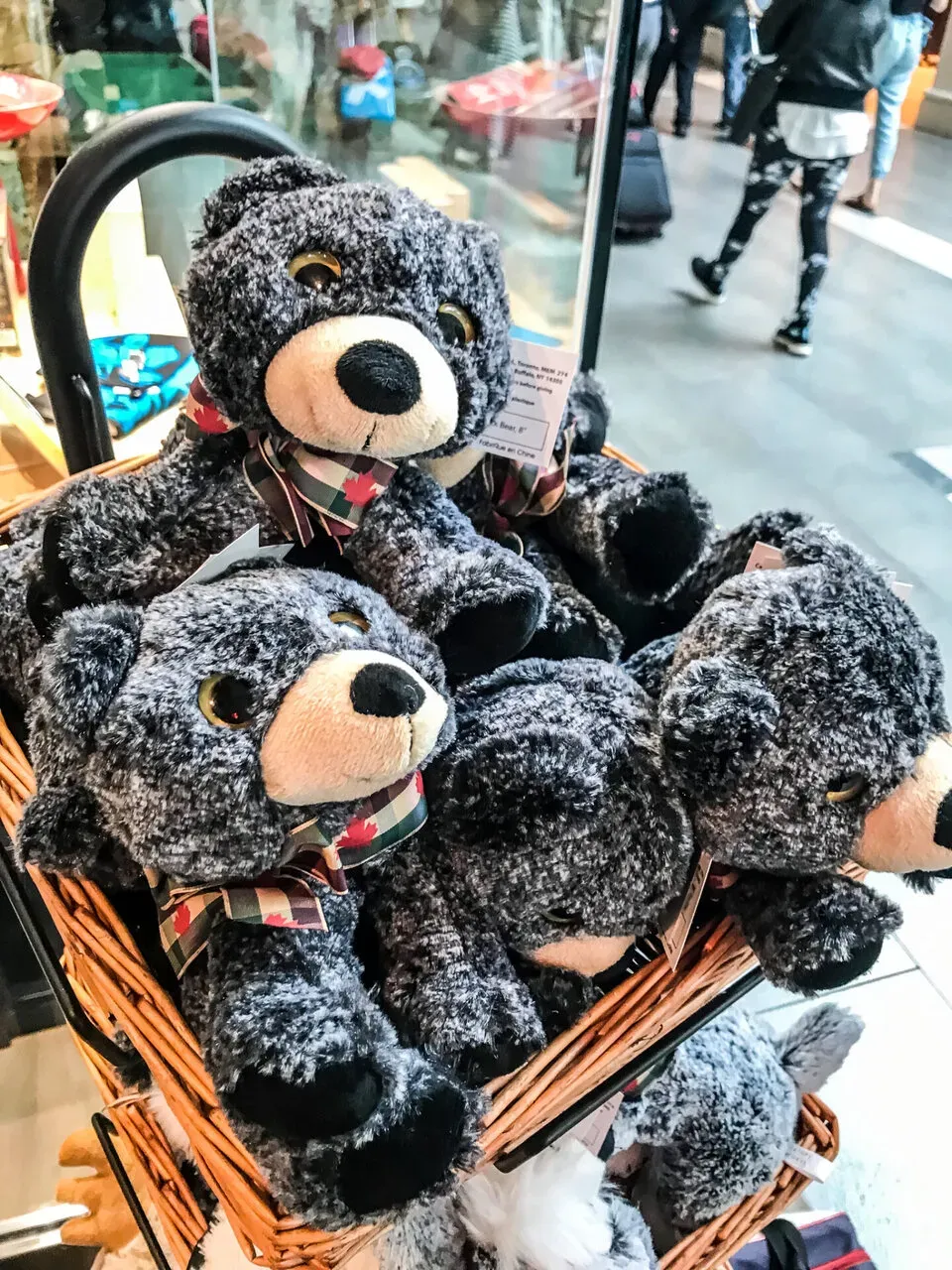 IRONMAN Canada （アイアンマン カナダ）滞在編 - 画像183