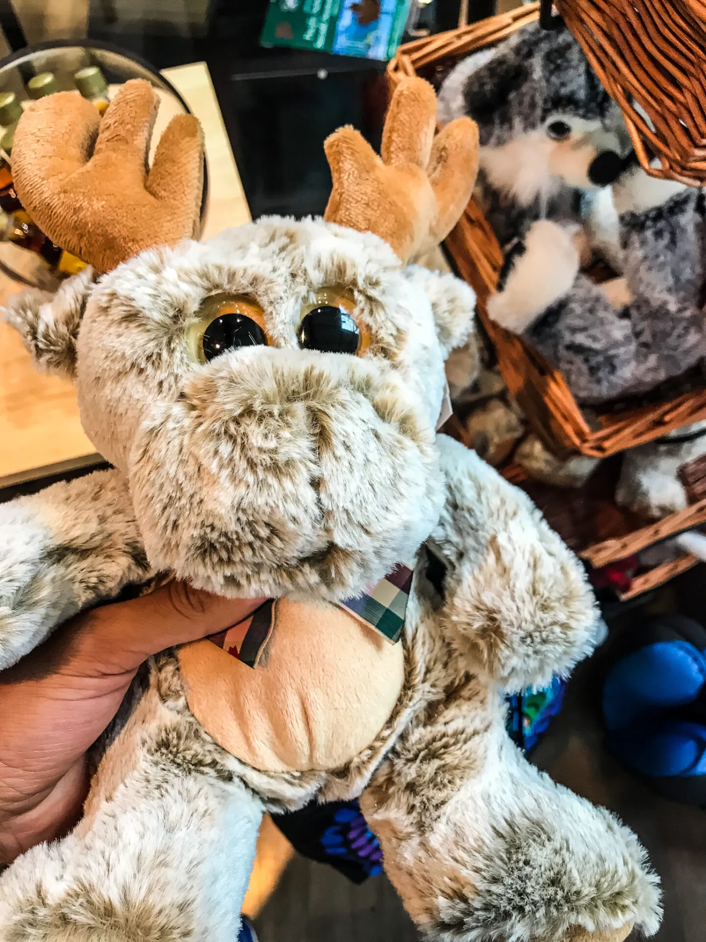 IRONMAN Canada （アイアンマン カナダ）滞在編 - 画像184