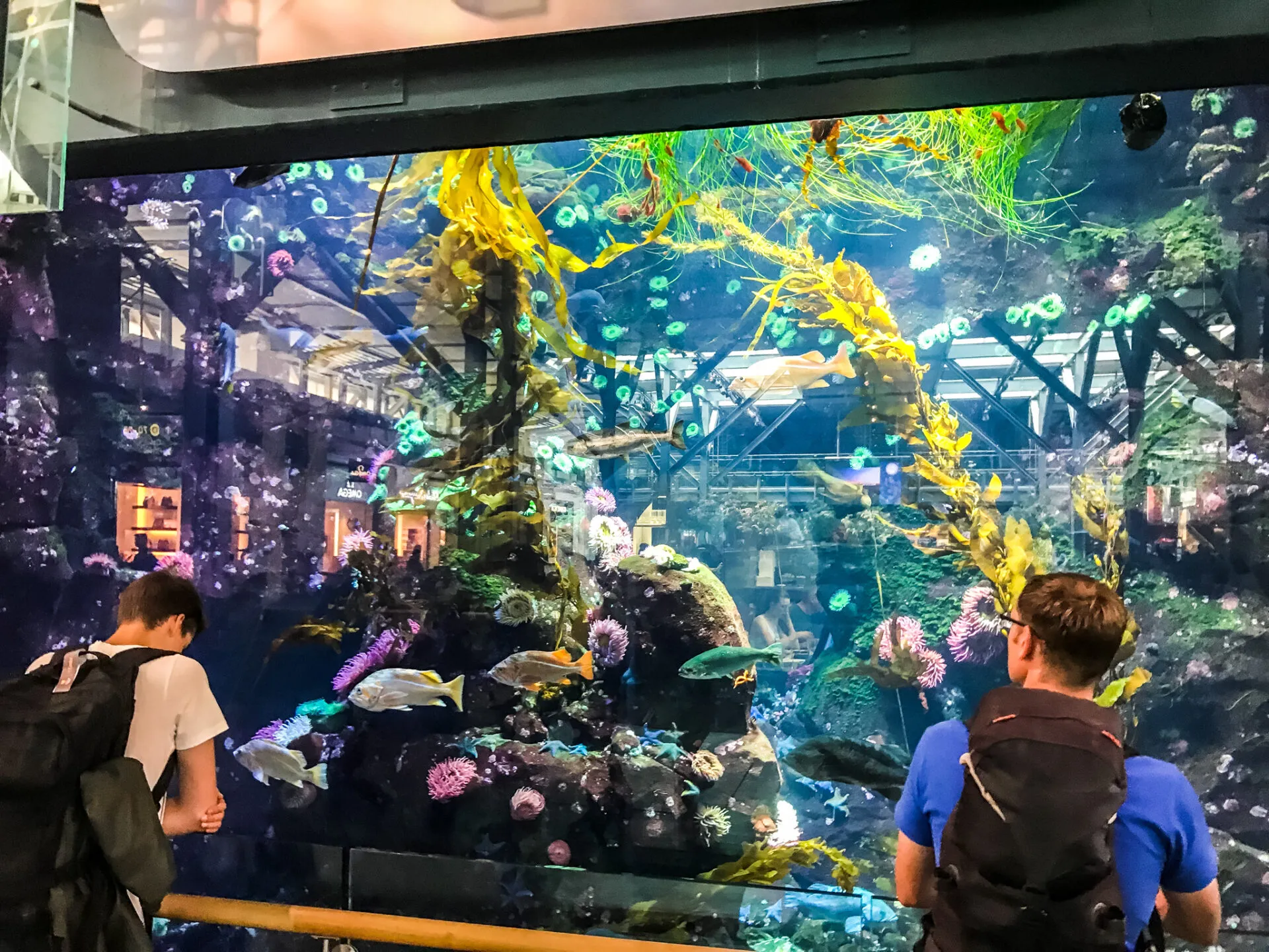 IRONMAN Canada （アイアンマン カナダ）滞在編 - 画像185