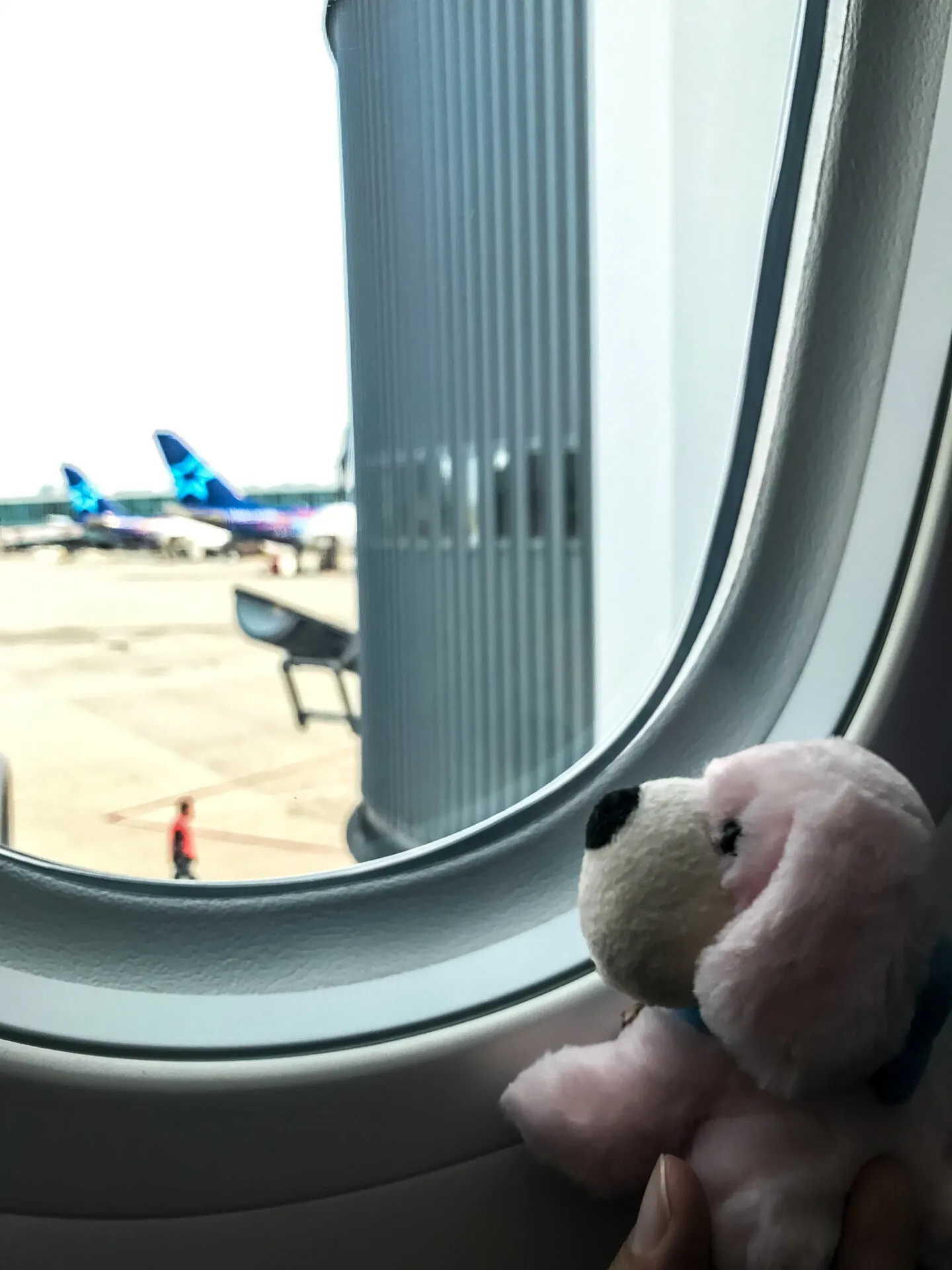 IRONMAN Canada （アイアンマン カナダ）滞在編 - 画像188