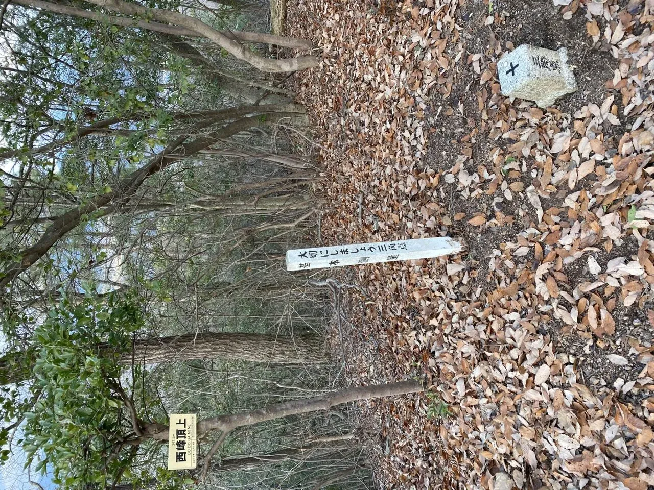 三角点が結構たくさんあります