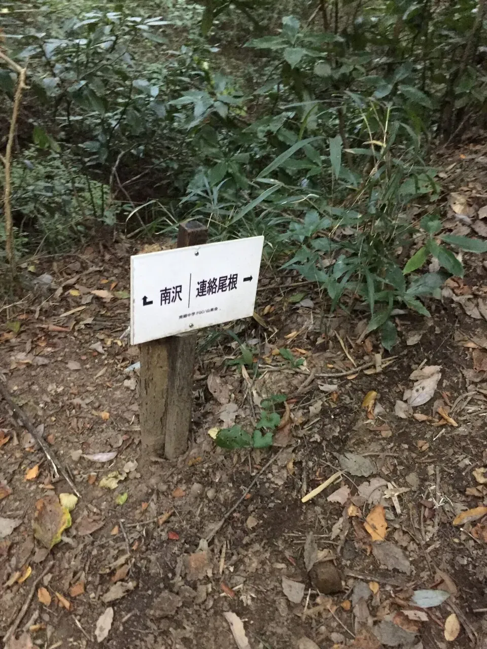 南沢・連絡尾根の分岐を示す道標