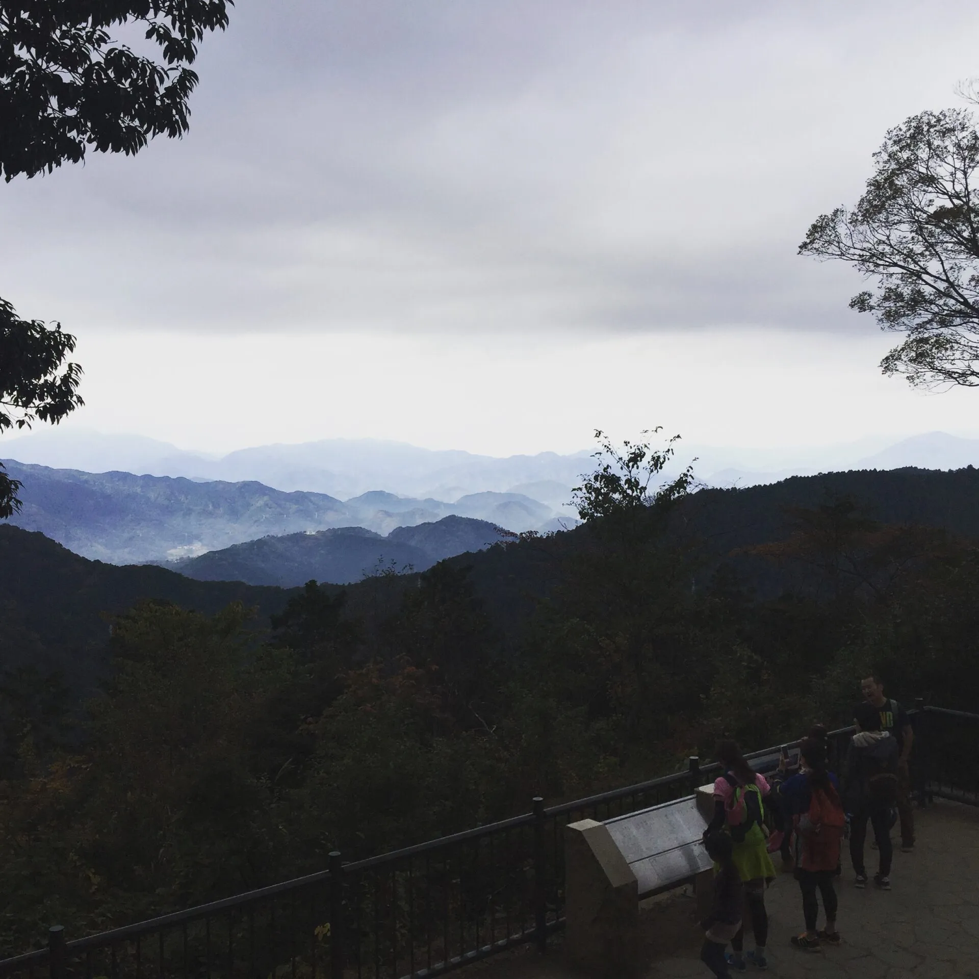 ロードバイクで高尾山へ43km