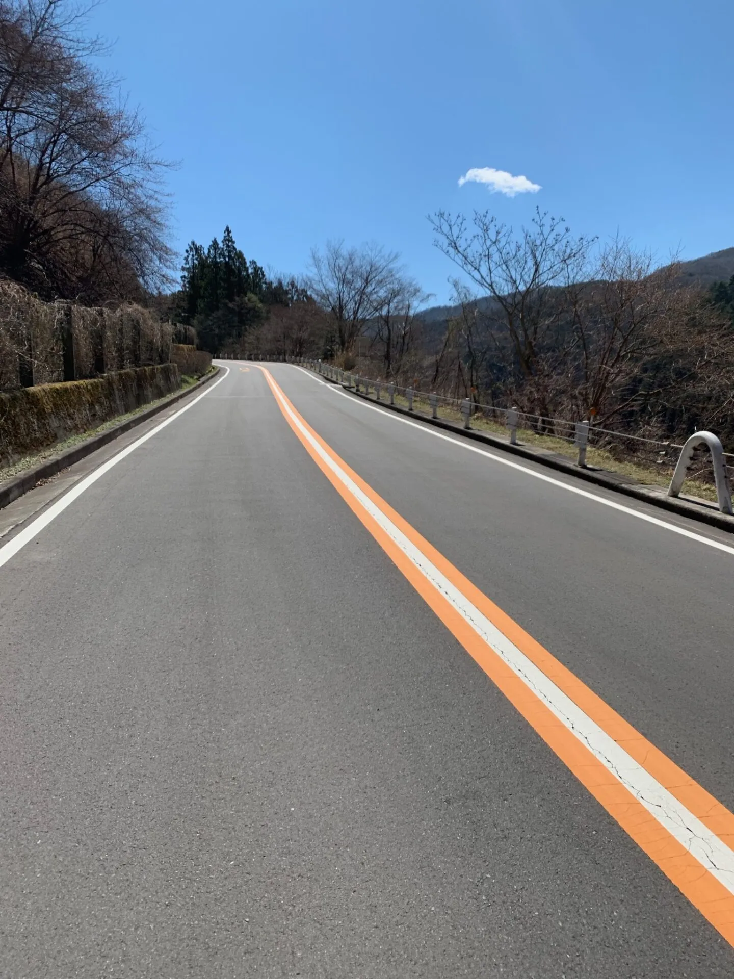 初めて都民の森にヒルクライムしに行きました - 画像1