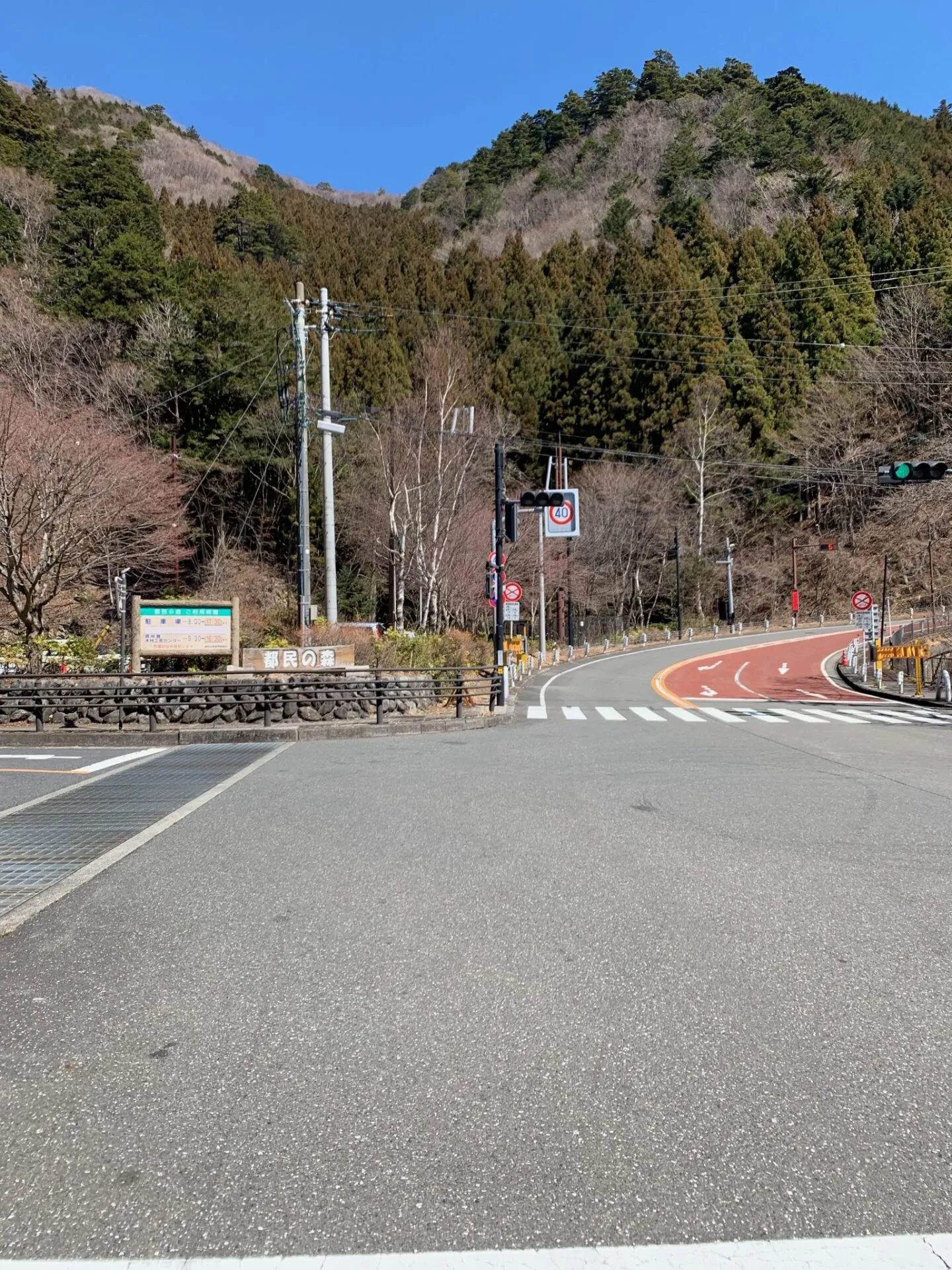 初めて都民の森にヒルクライムしに行来ました - 画像4