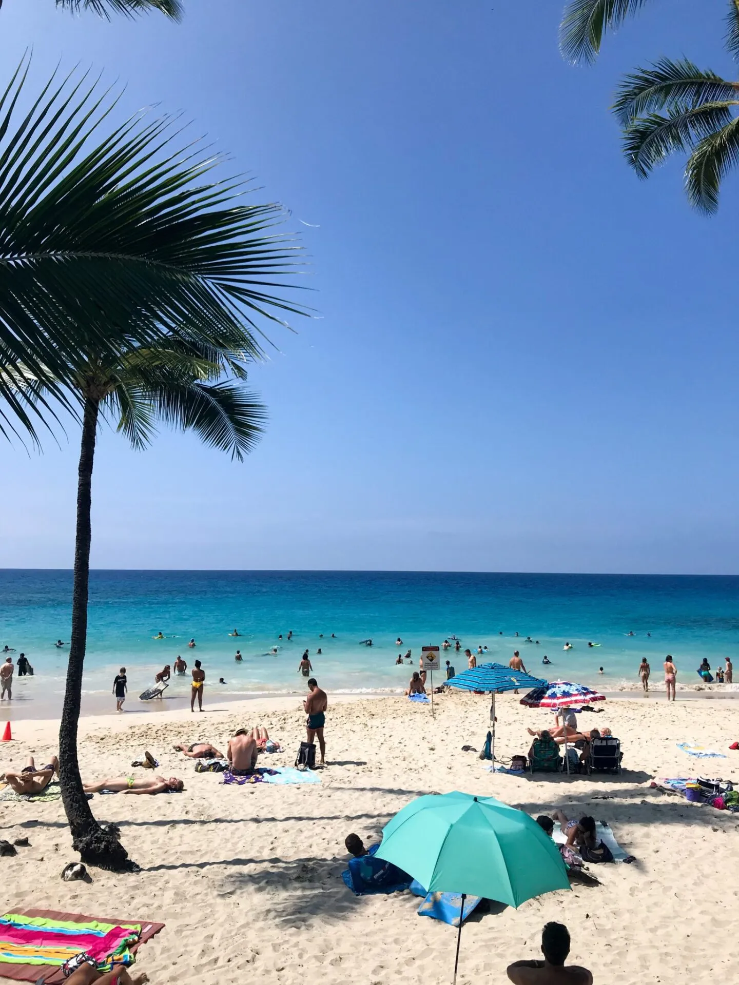 IRONMAN World Championship旅行記 (2/6)日目 - パスポートが見つかる - 画像19