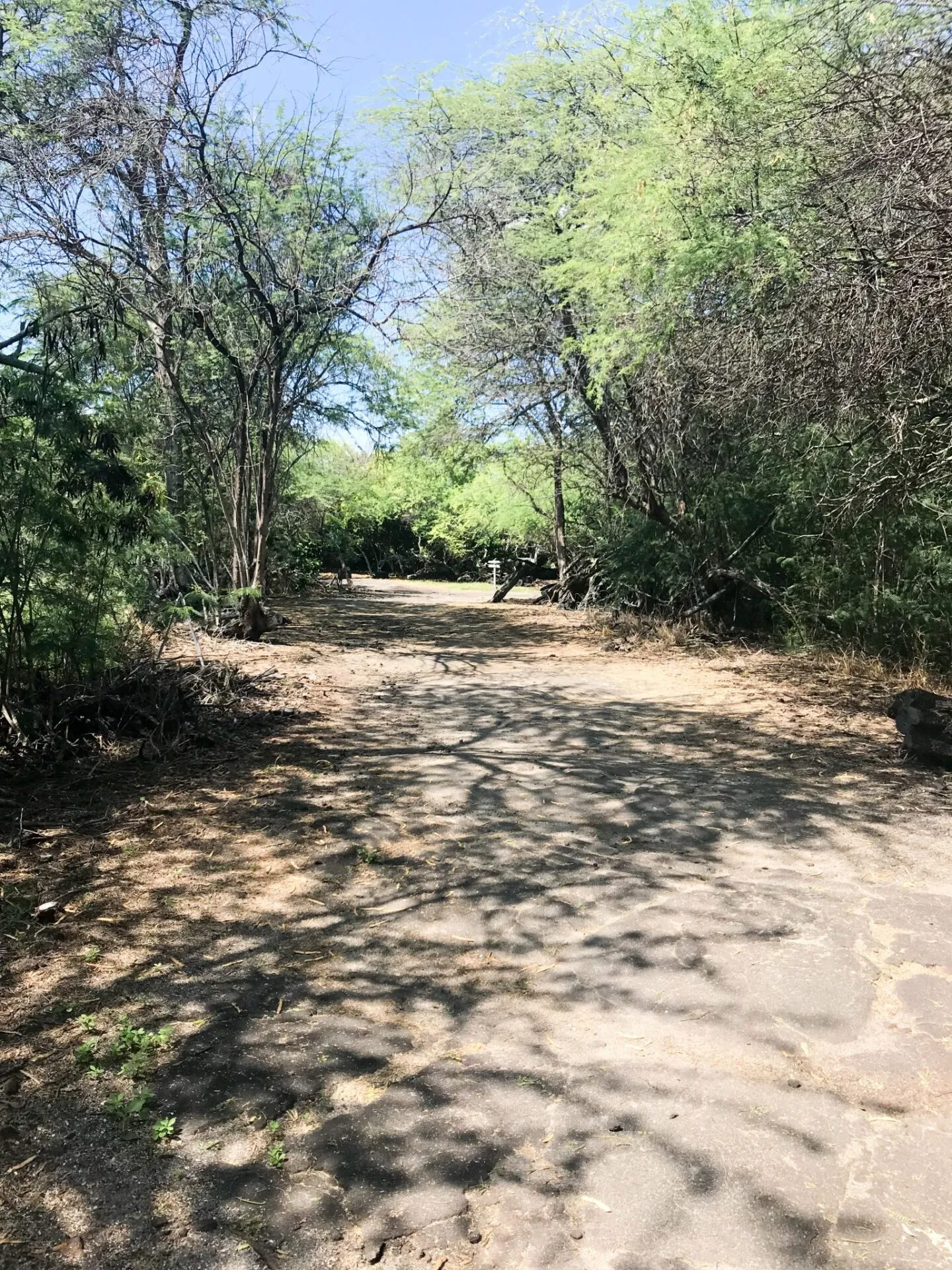 IRONMAN World Championship旅行記 (3/6)日目 - コナウィンドを体感 - 画像21