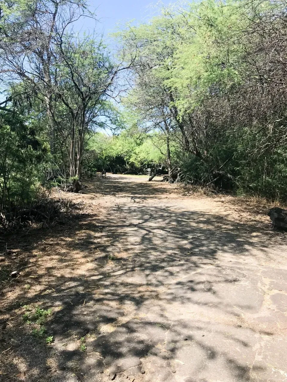 IRONMAN World Championship旅行記 (3/6)日目 - コナウィンドを体感 - 画像21