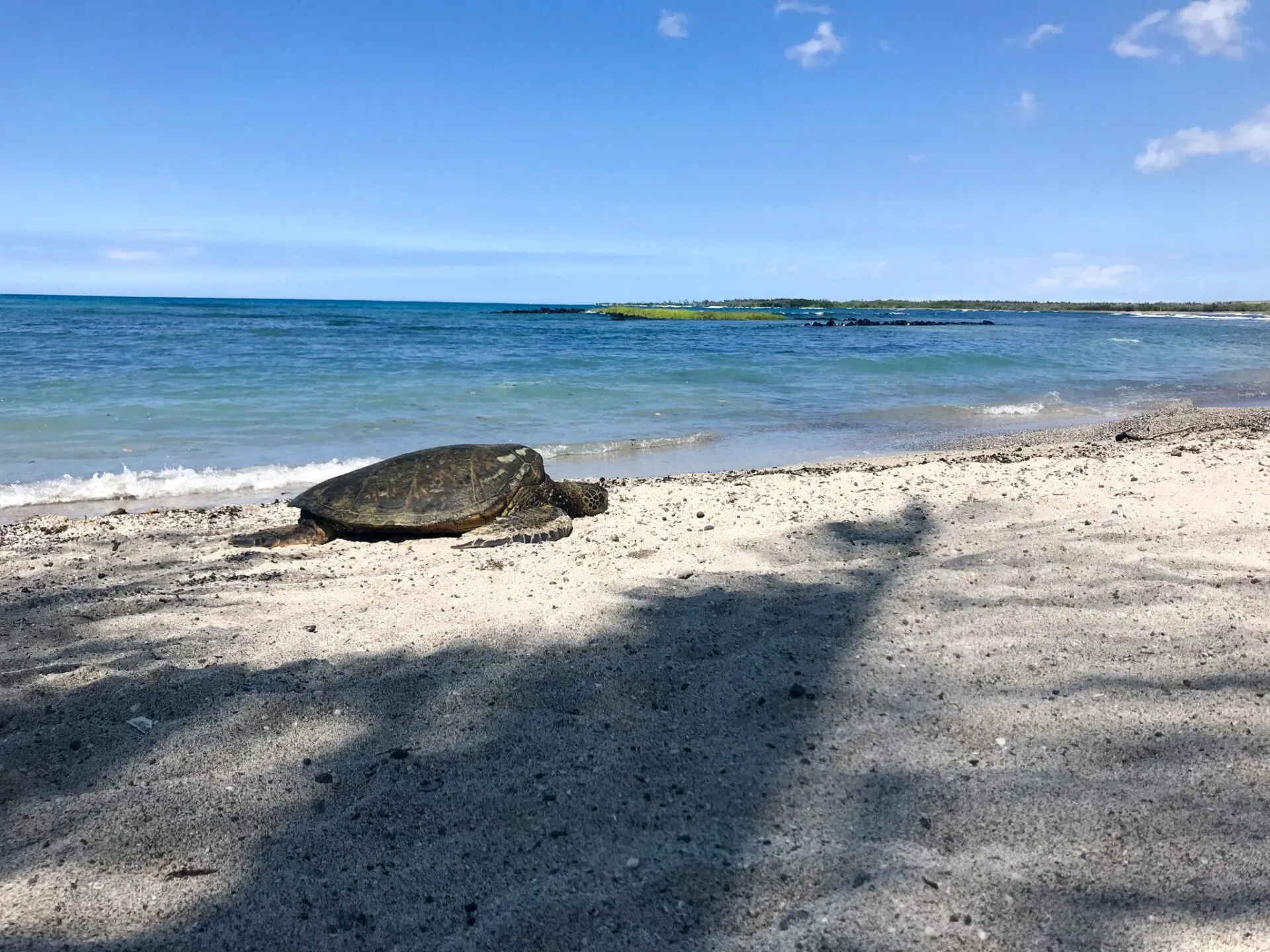 IRONMAN World Championship旅行記 (3/6)日目 - コナウィンドを体感 - 画像24