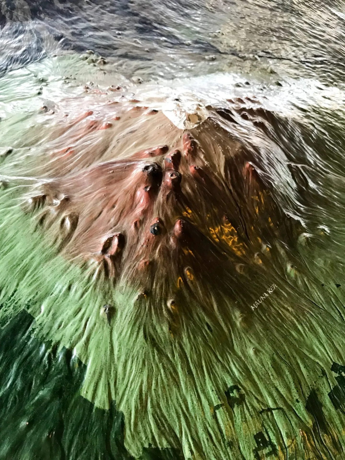 IRONMAN World Championship旅行記 (6/6)日目 – ハワイ島1周 - 画像36