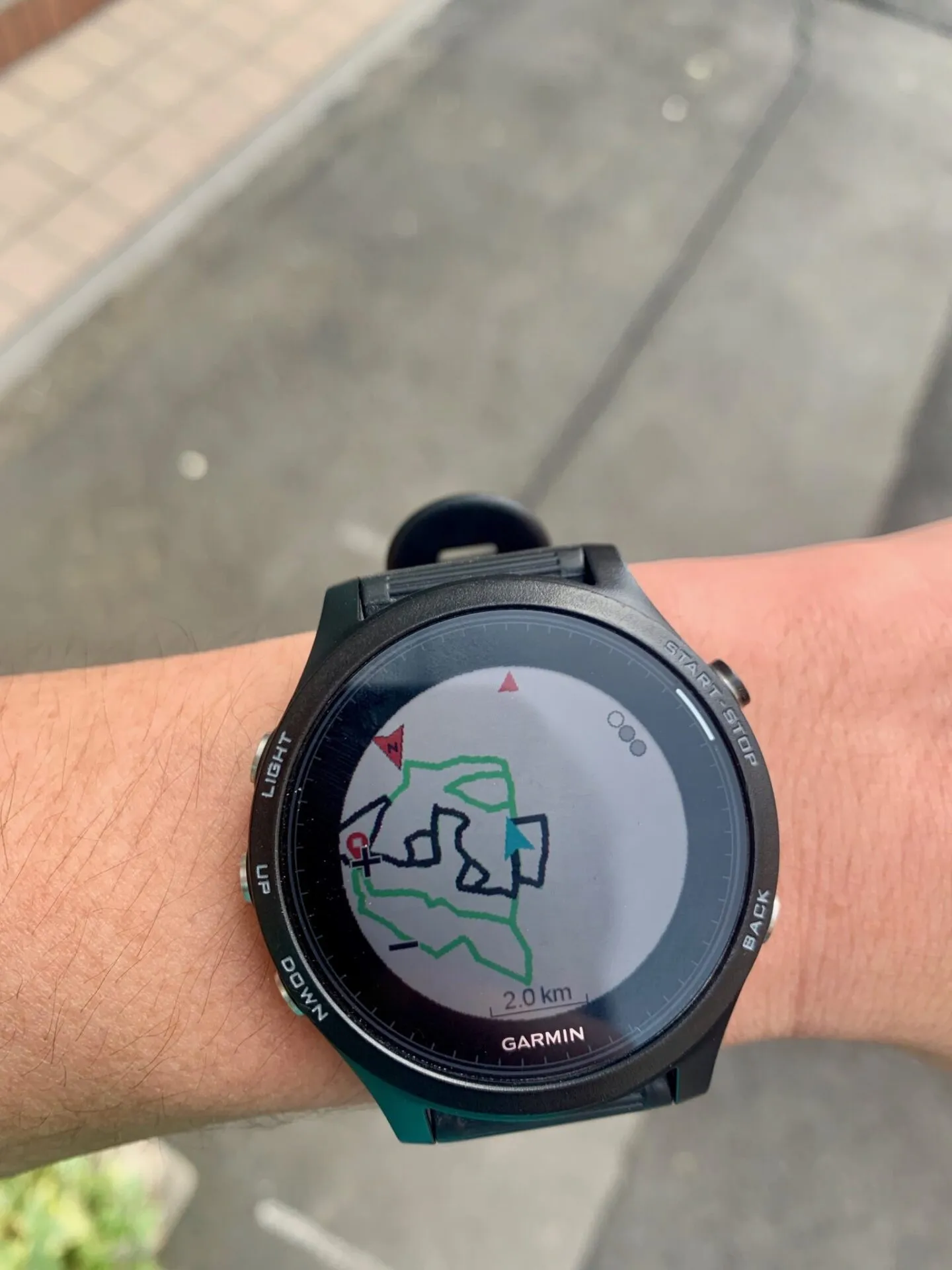 顔マラソン（東京）を走ってきました - 画像2