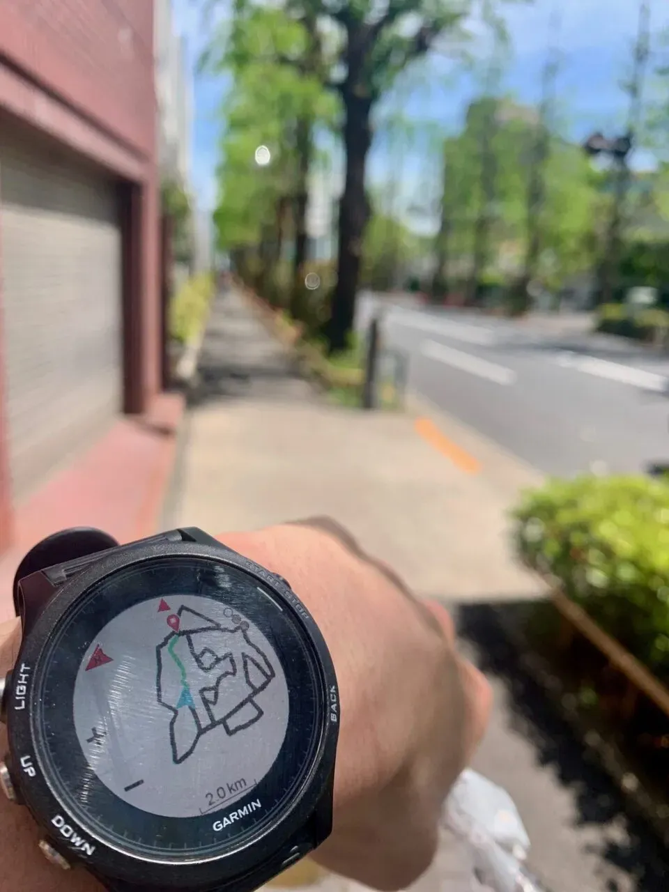 顔マラソン（東京）を走ってきました - 画像3