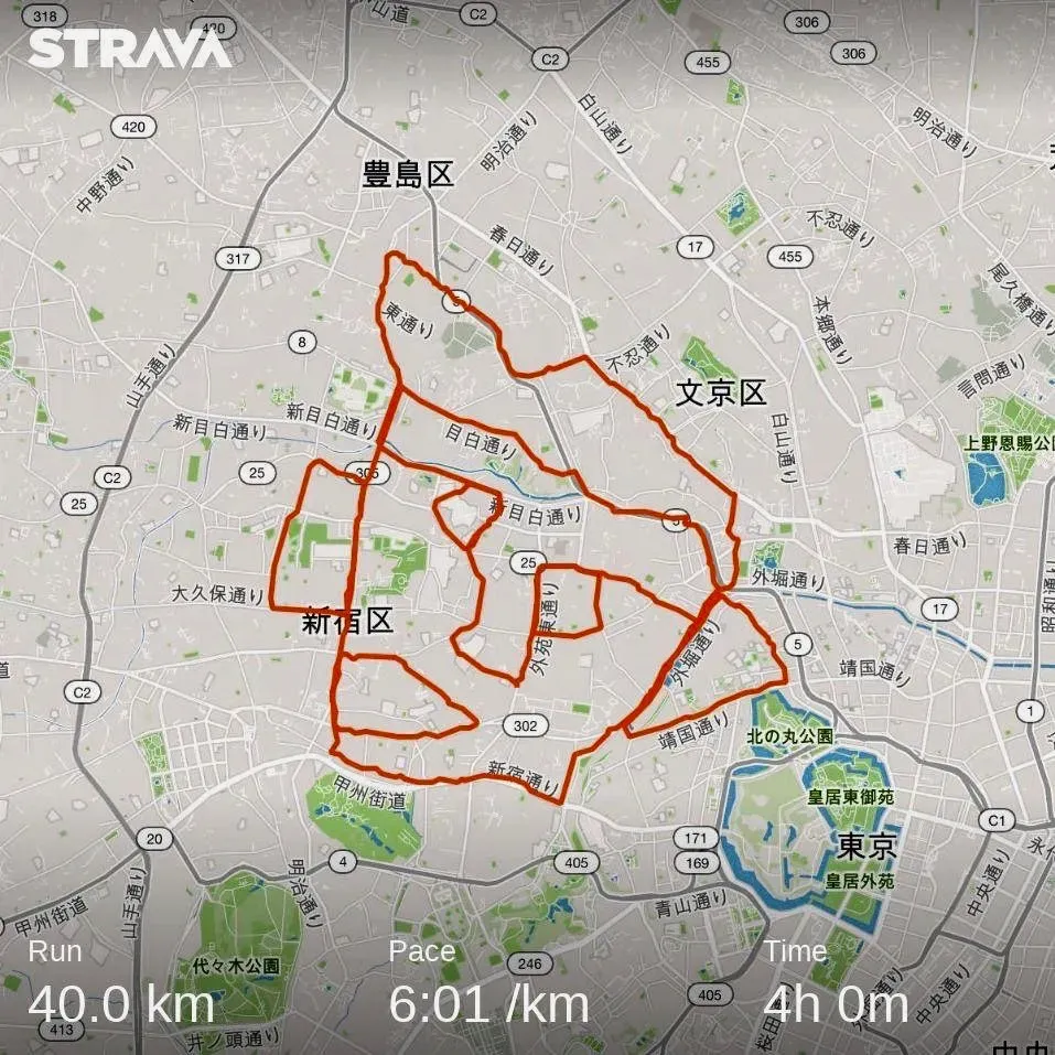 顔マラソン（東京）を走ってきました - 画像6