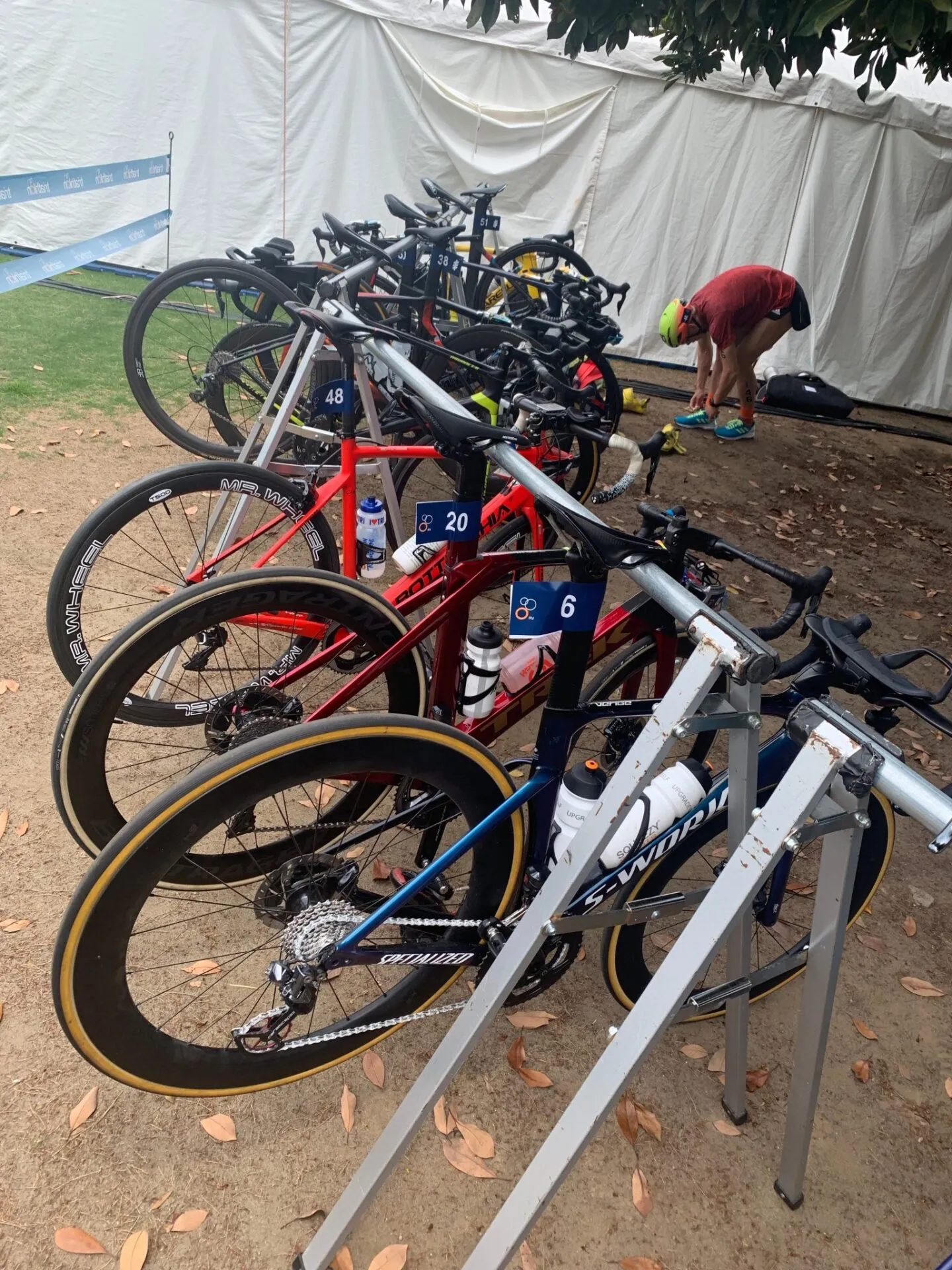 2019ITU世界トライアスロン・パラトライアスロンシリーズ横浜大会 エリート観戦