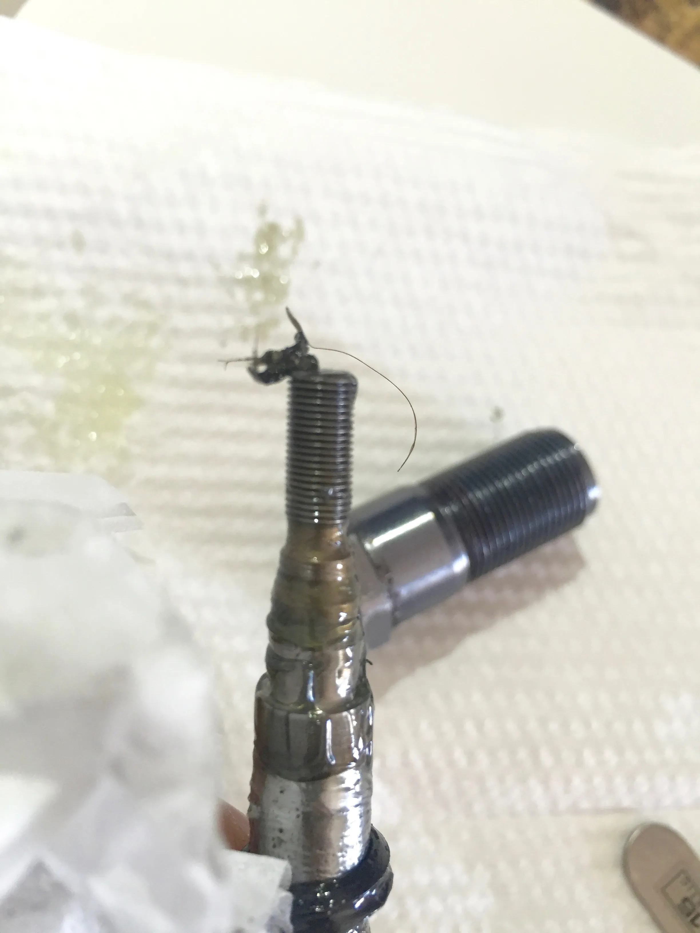 Cover Image of the Post