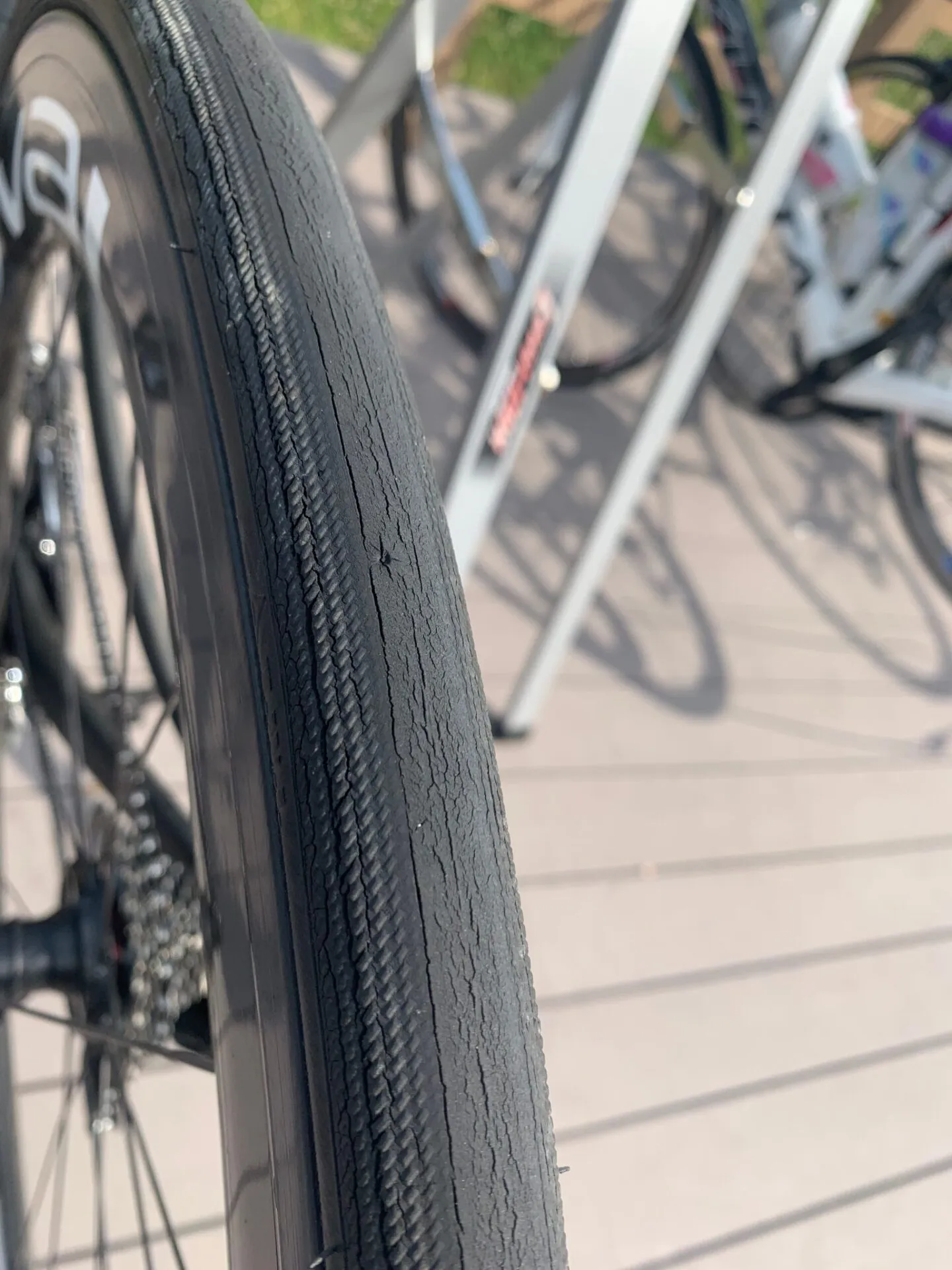 カスイチ(霞ヶ浦1周)130km ペース走 - 画像5