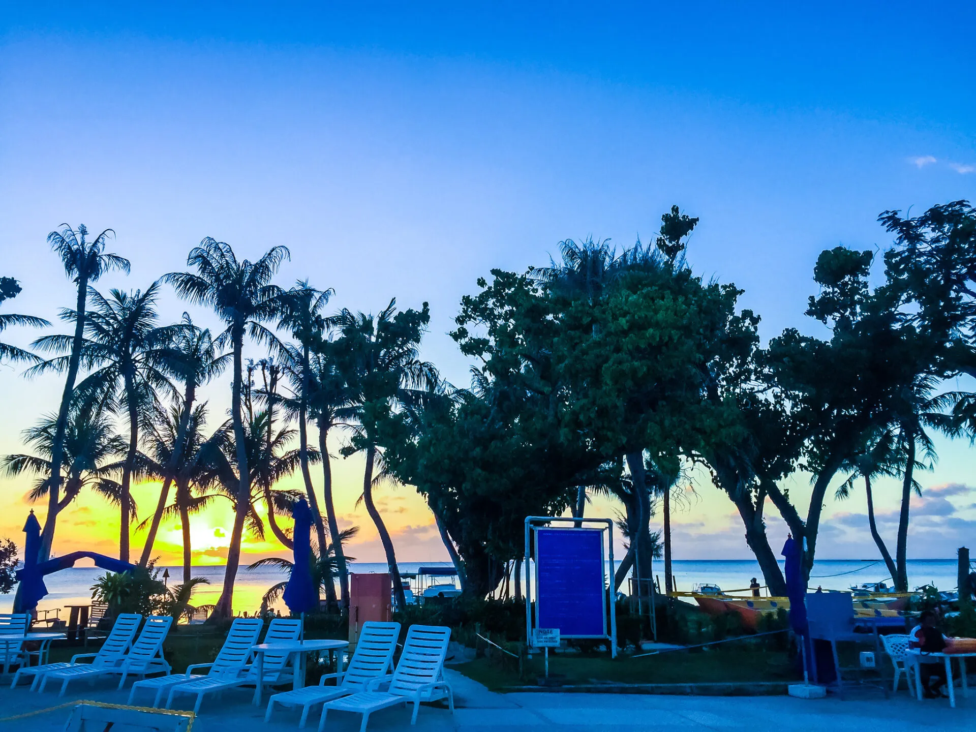 ヤシの木越しに見る鮮やかな夕焼け