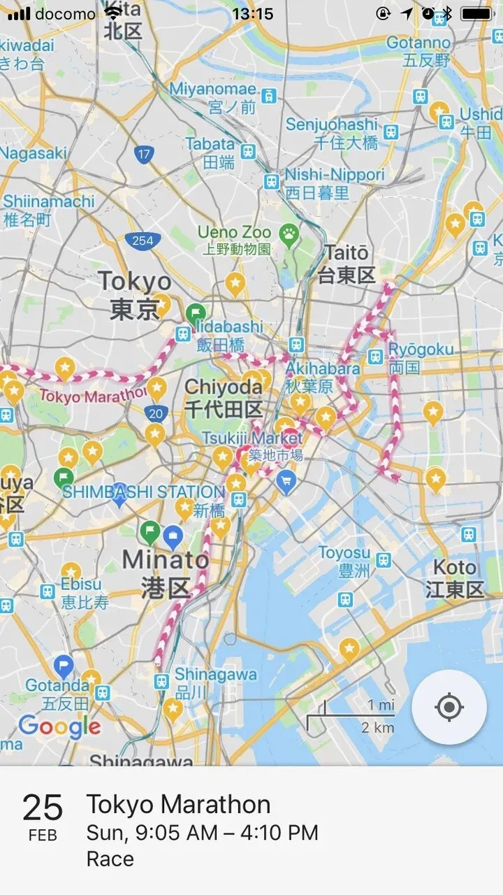 Google Maps通行止め表示