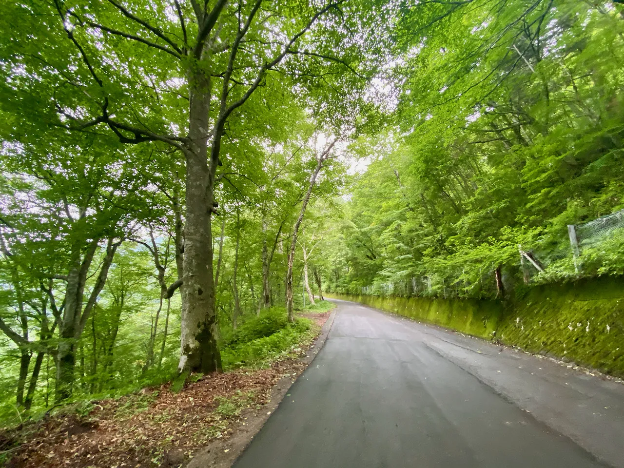 中の湯温泉 - 焼岳 - 西穂山荘 - 西穂高駅 トレラン - 画像3