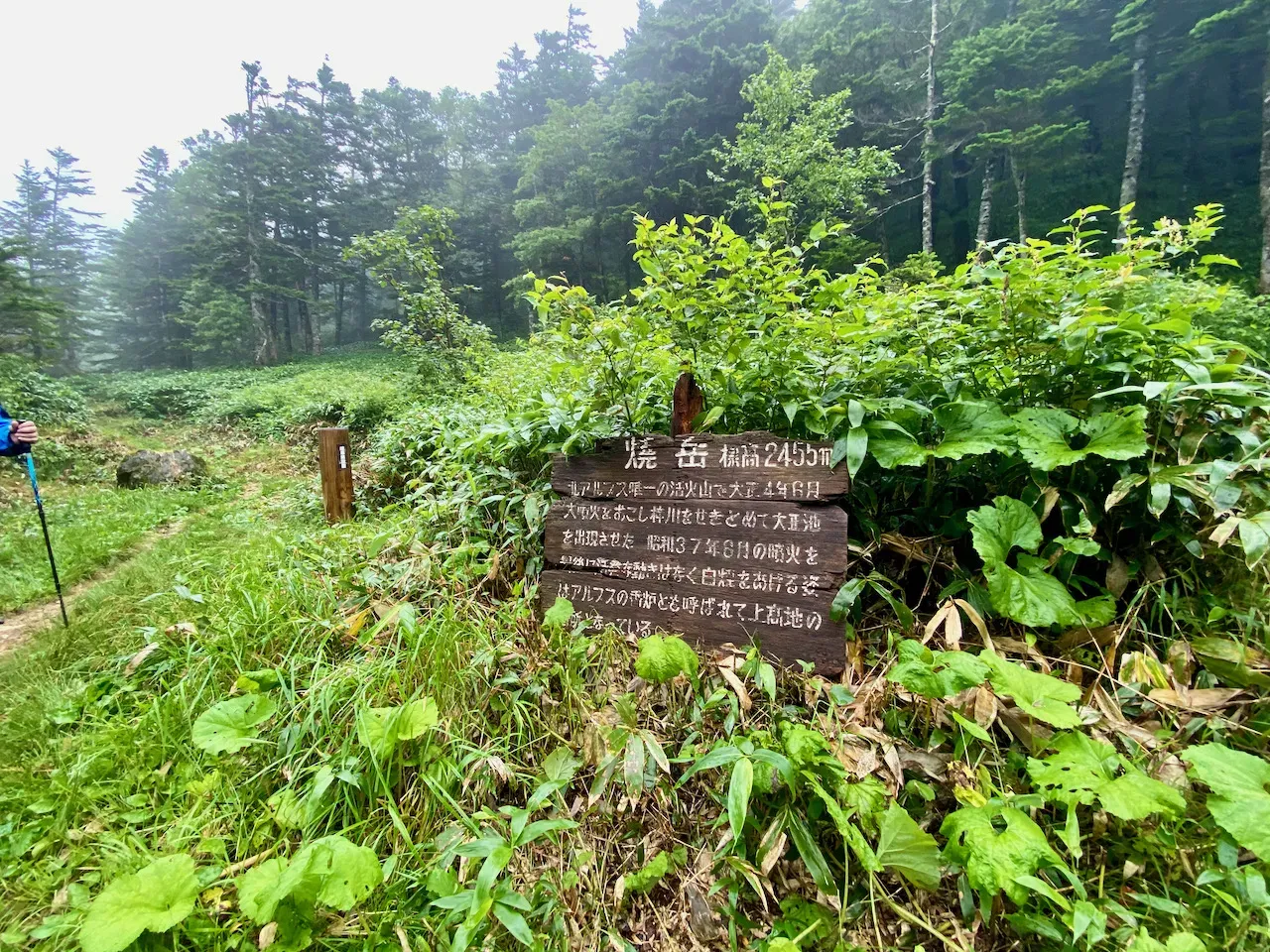 焼小屋の看板。ここから5kmぐらいで西穂山荘なのですが、結構時間がかかりました。縦走かと思っていたら、登り返しのみ。足元悪くて修行です。