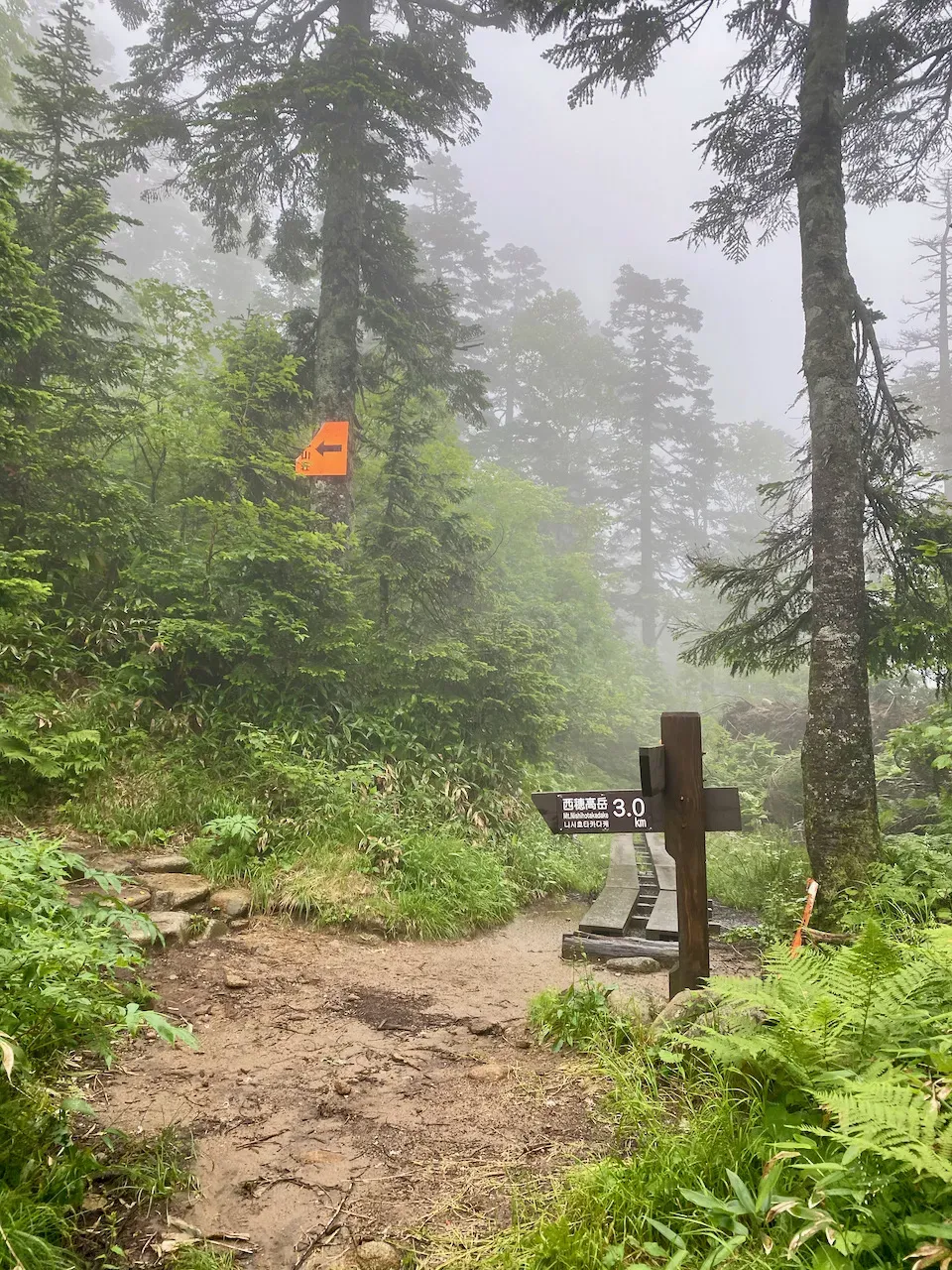 焼小屋を出て、2時間ぶりぐらいに人に会いました！左に行って階段を登れば西穂山荘。