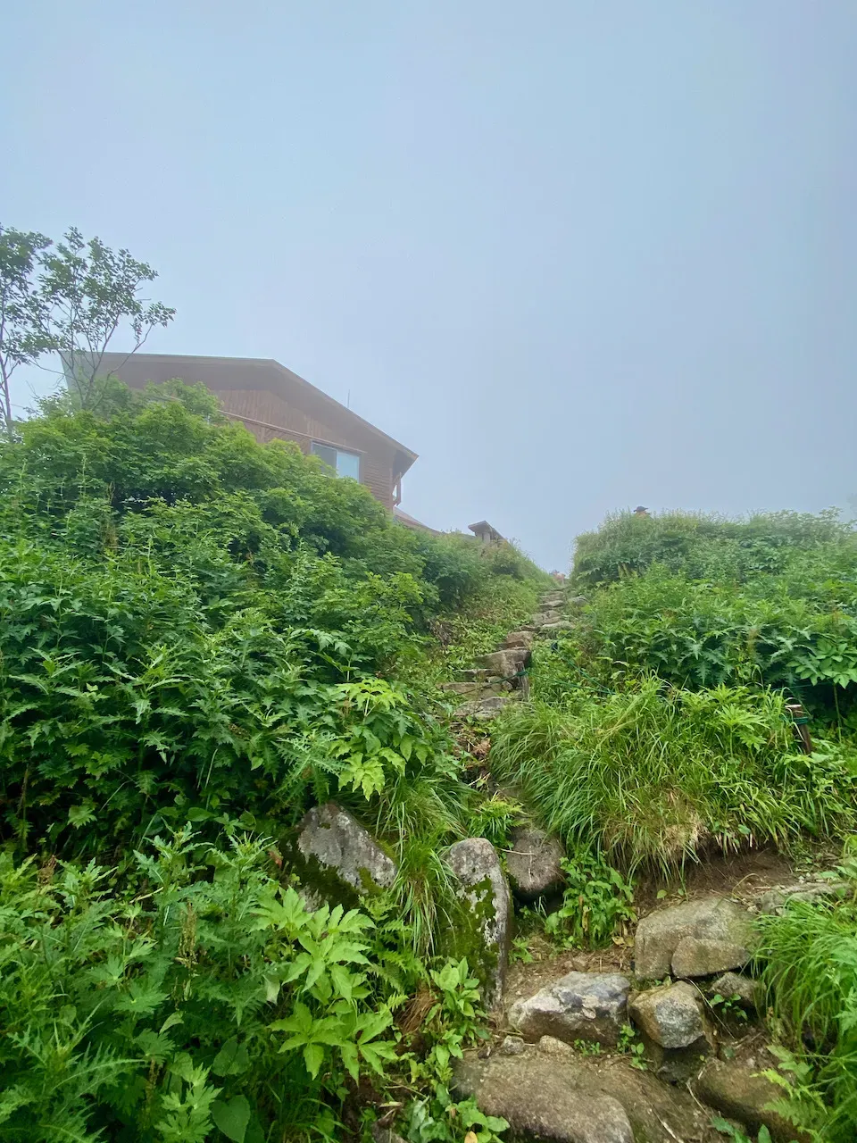 後少しで西穂山荘！