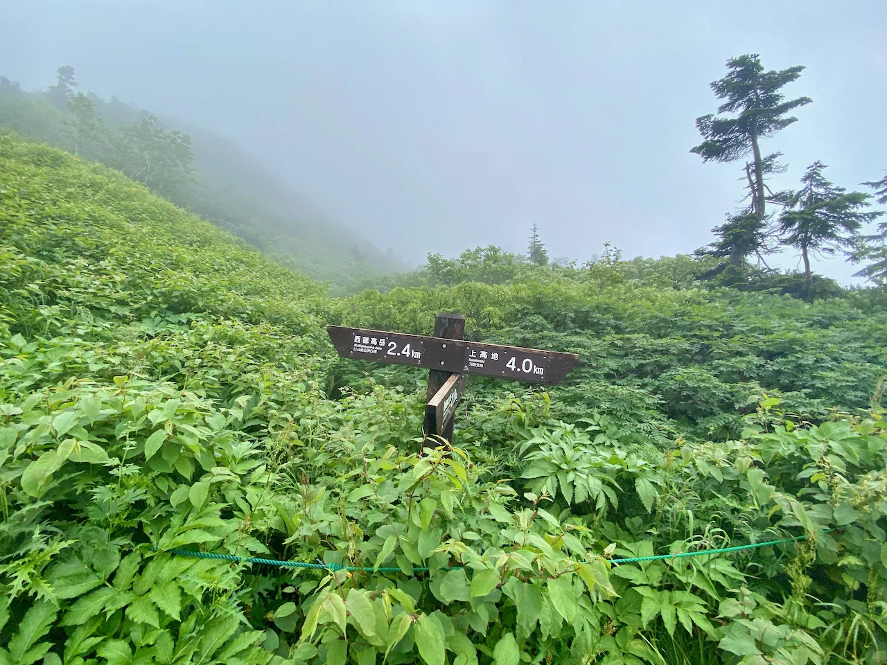 中の湯温泉 - 焼岳 - 西穂山荘 - 西穂高駅 トレラン - 画像13