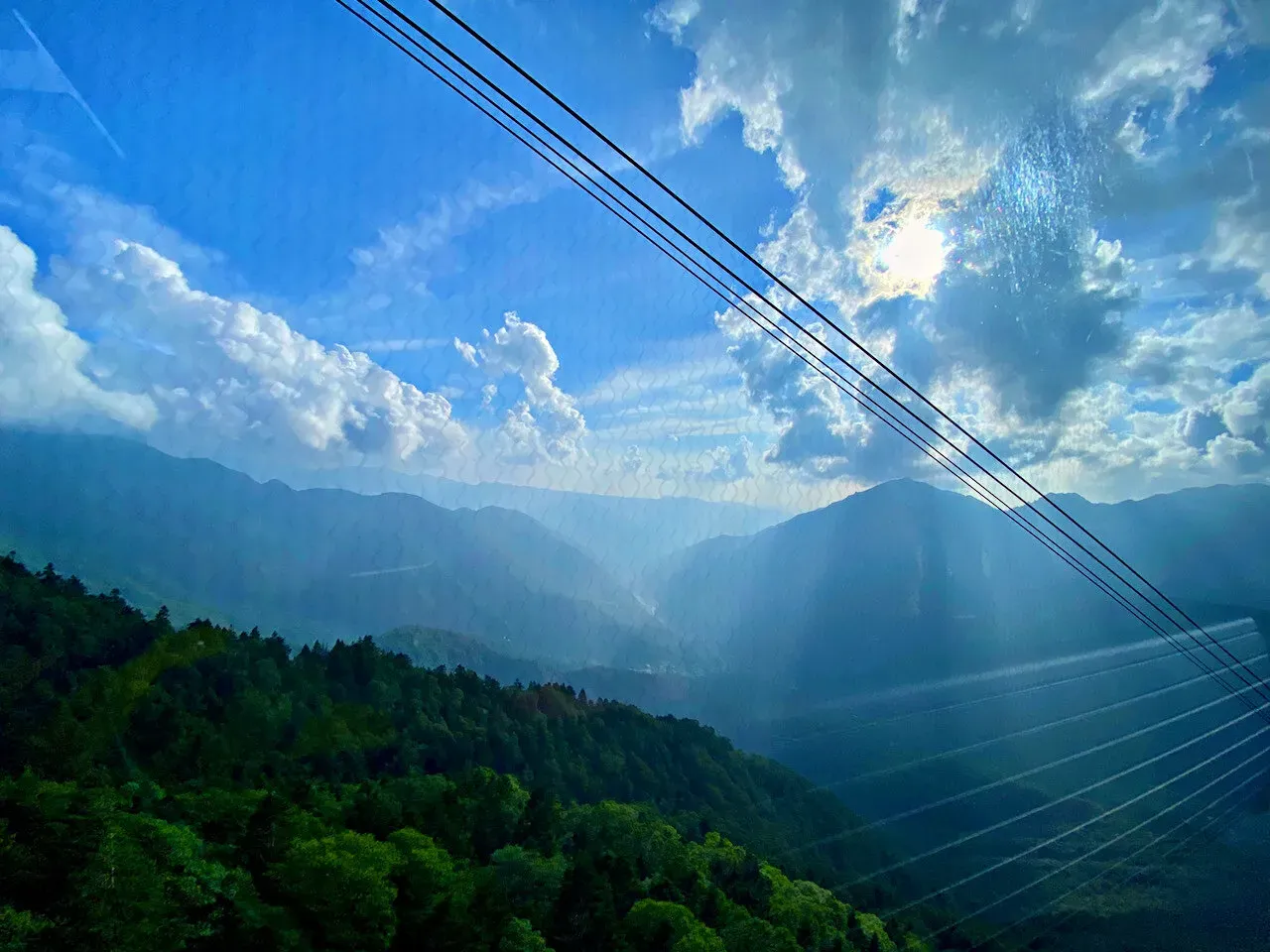 Cover Image of the Post