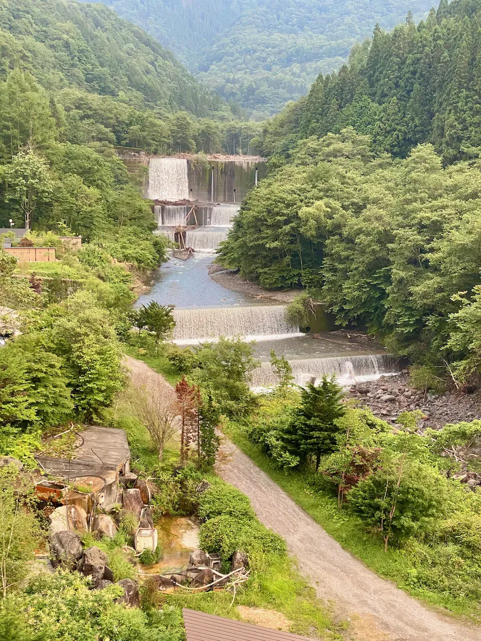 裏の川